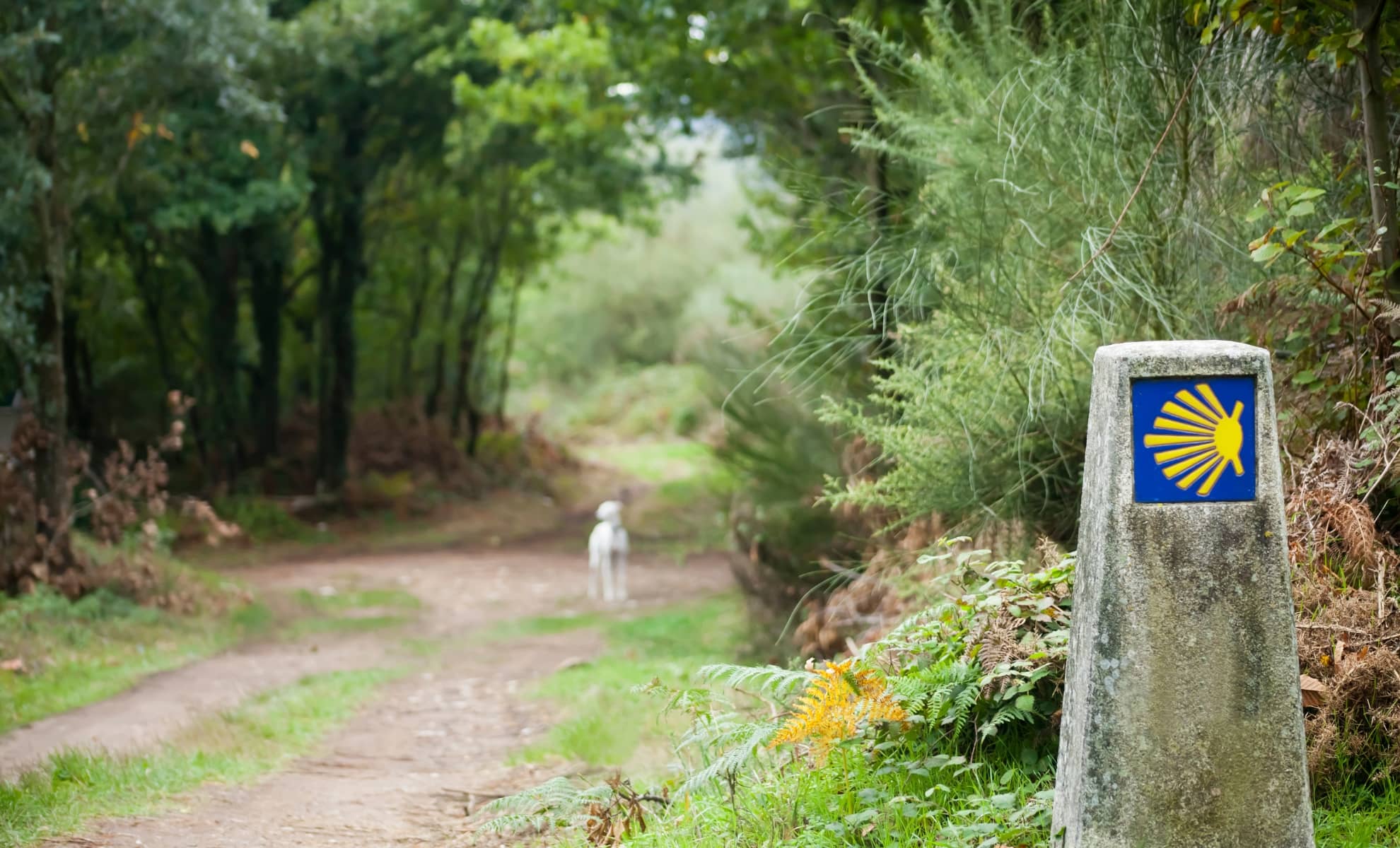 Camino de Santiago, chemin de pèlerinage en Espagne