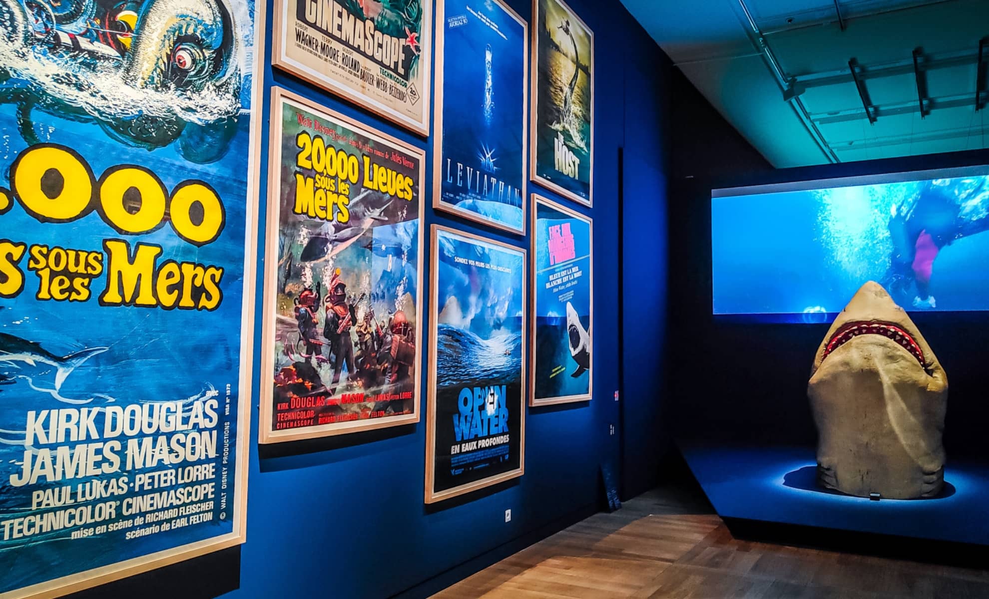 Exposition Objectif mer l'océan filmé, Musée de la Marine