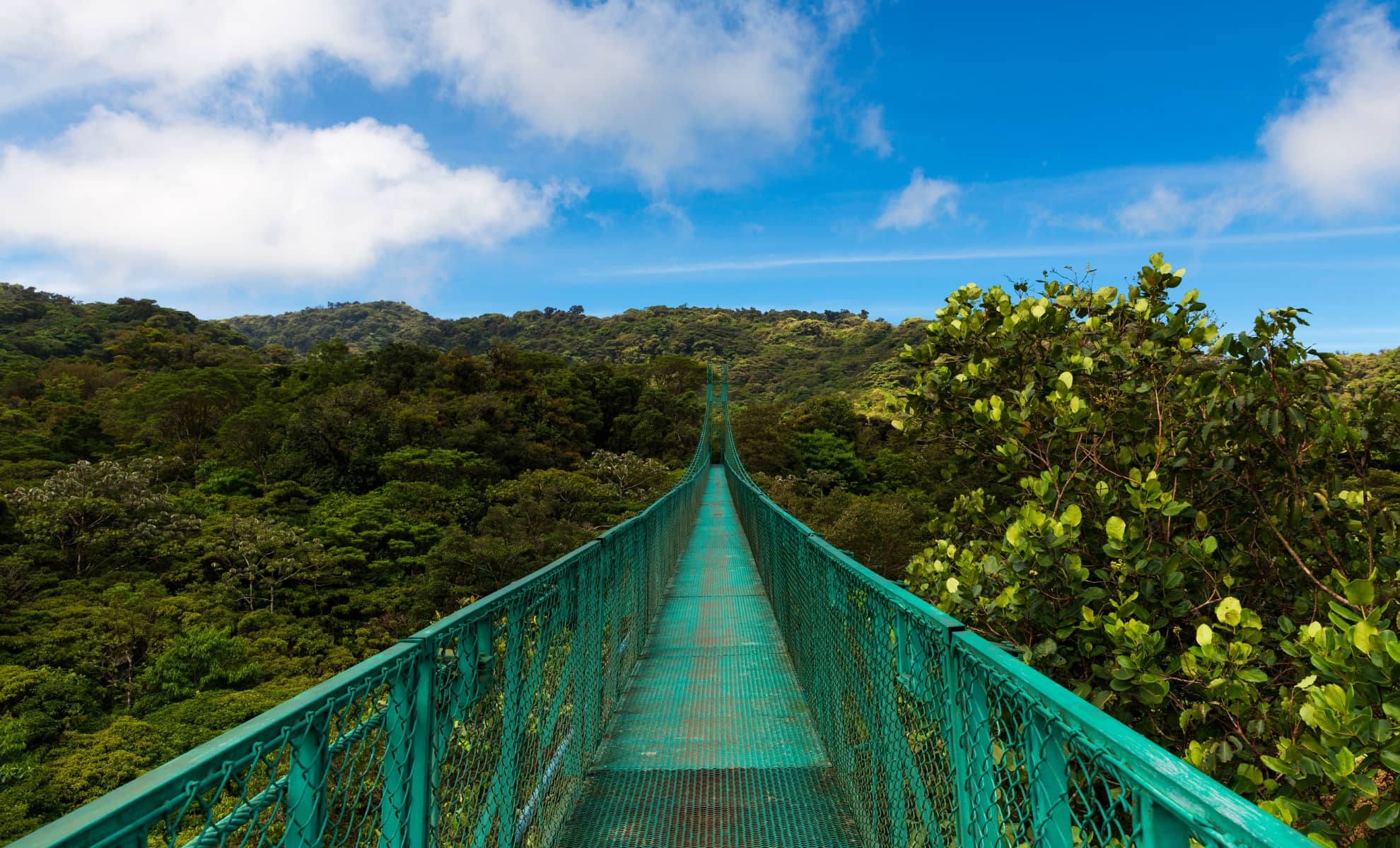 La réserve de Monteverde, Costa Rica