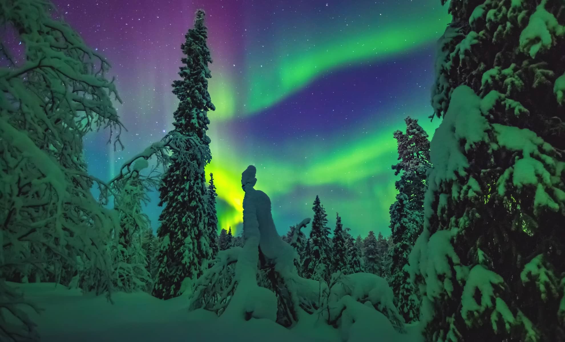 Les aurores boréales en Laponie