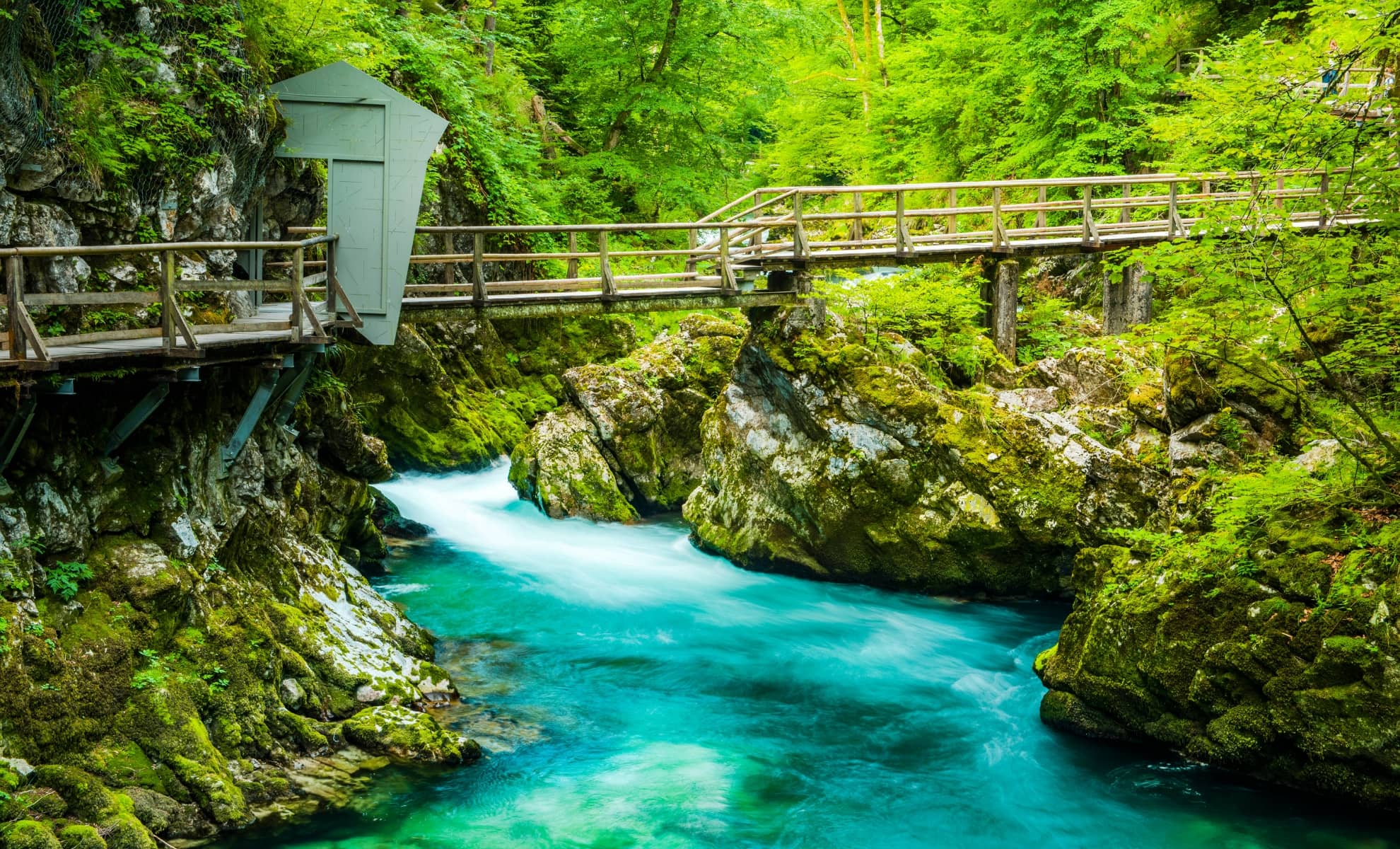 Les gorges de Vintgar, Slovénie