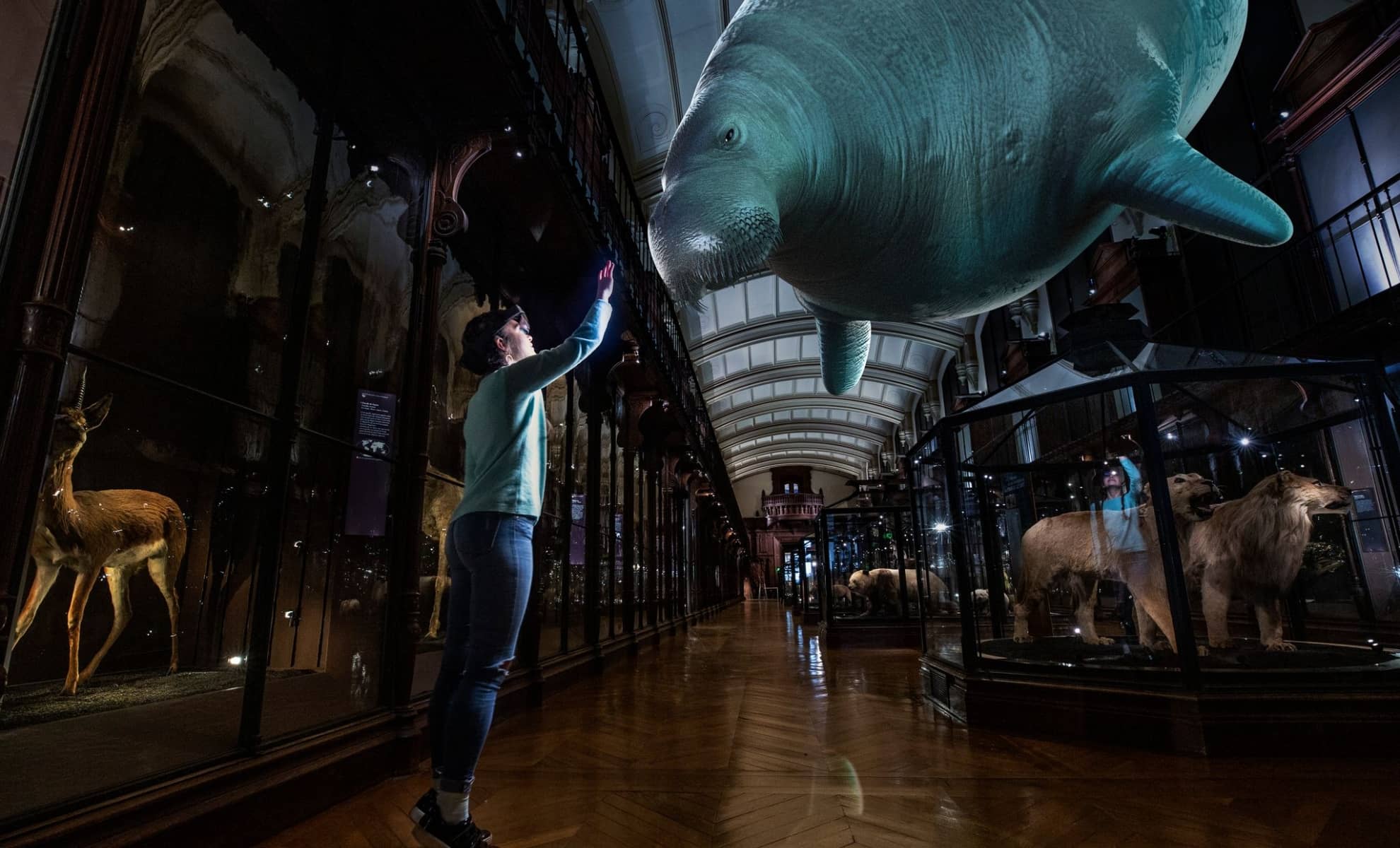 Mondes Disparus , expérience immersive au Muséum national d'Histoire naturelle