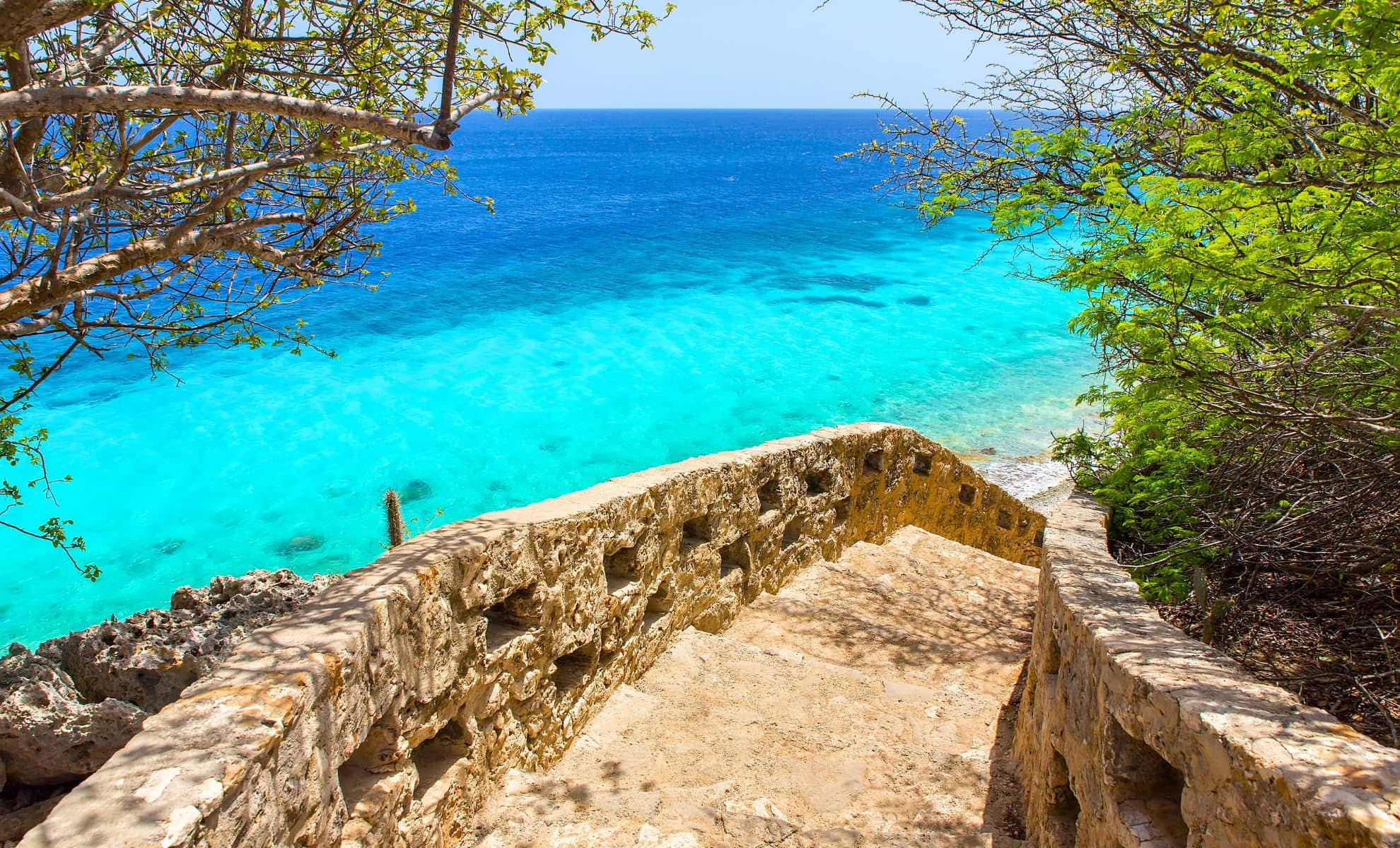 1000 steps, Bonaire 