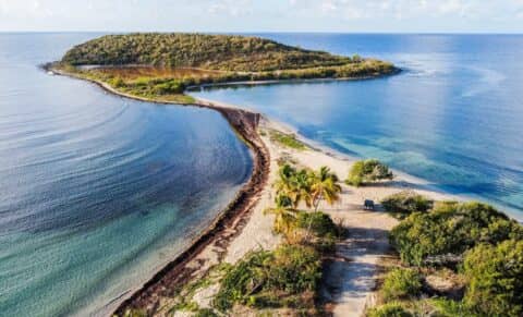 À la découverte de Vieques et Culebra : Des îles uniques pour des vacances mémorables à Porto Rico !