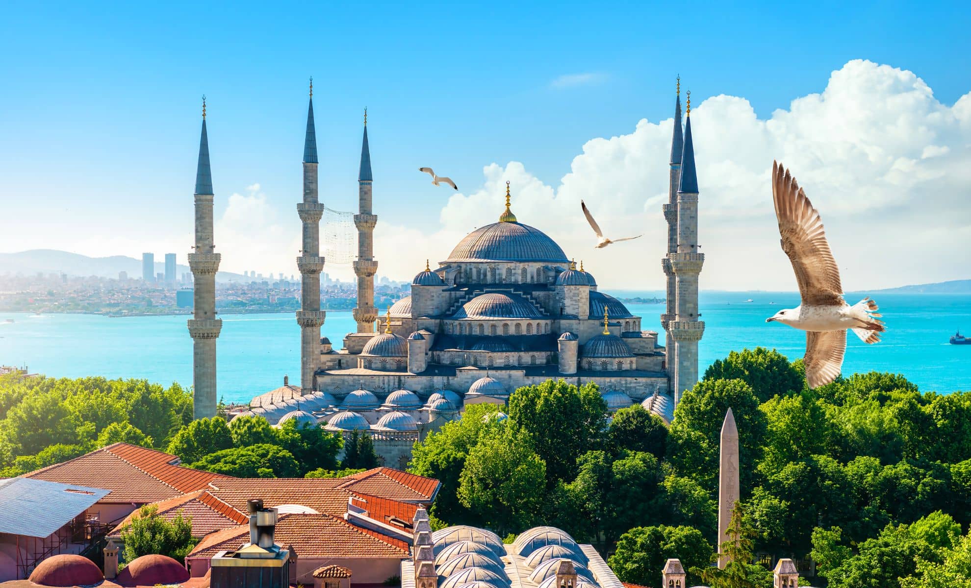 La Mosquée Bleue ,Istanbul ,Turquie