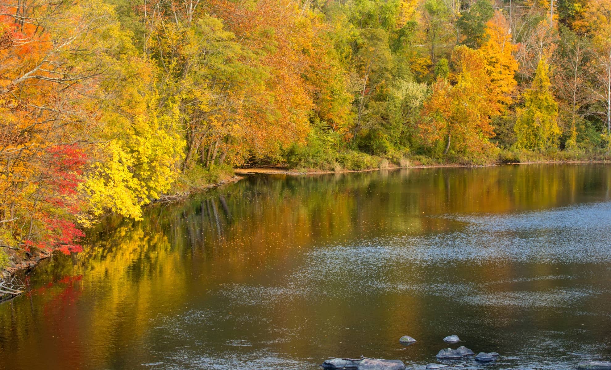 La rivière de Farmington, Connecticut