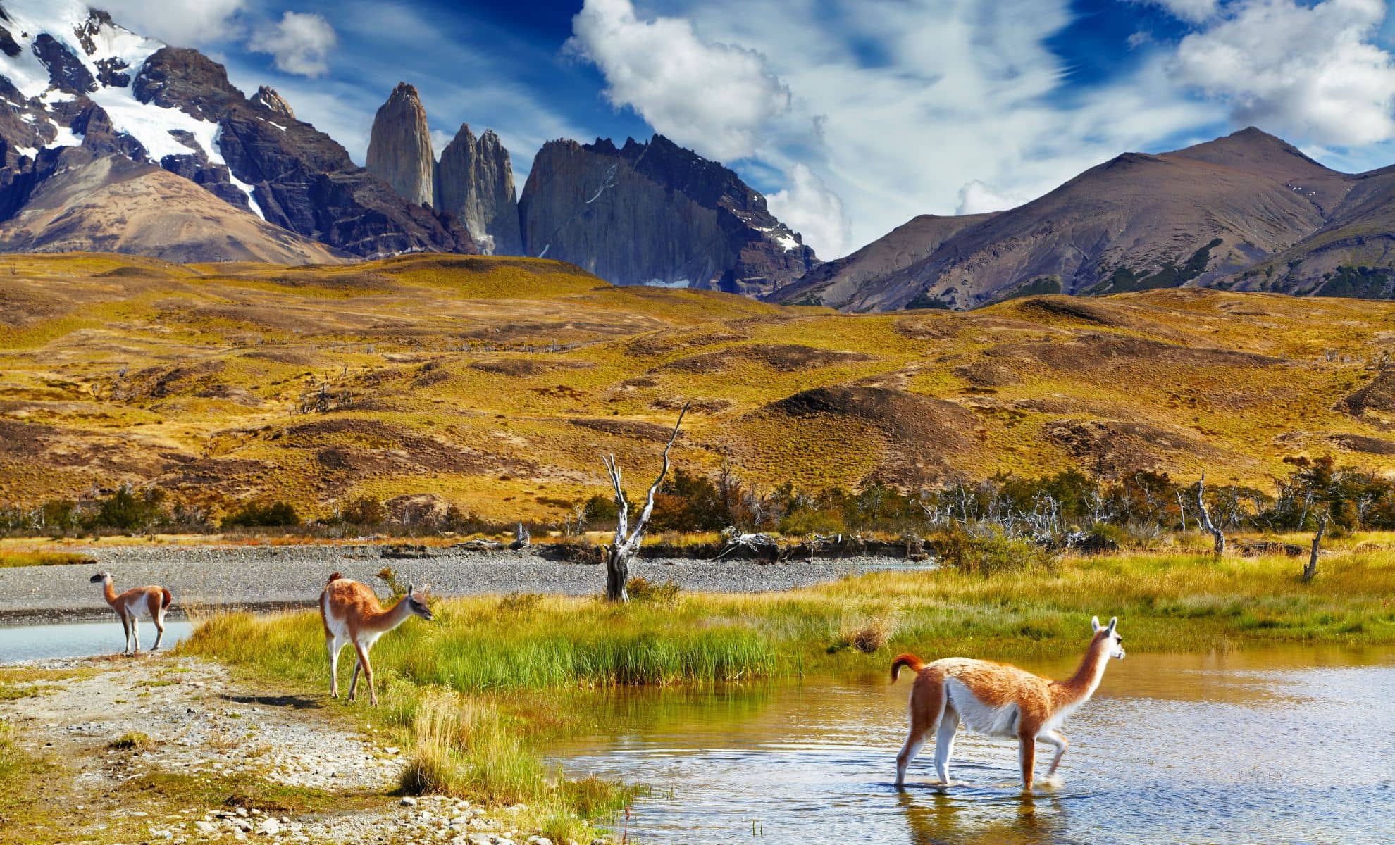 Le Parc national Torres del Paine , Chili