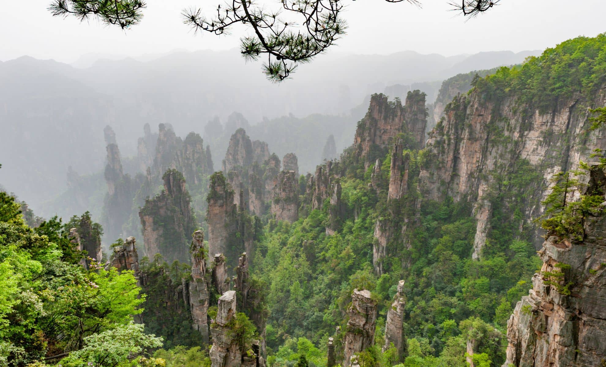 Le parc forestier national de Zhangjiajie, Chine