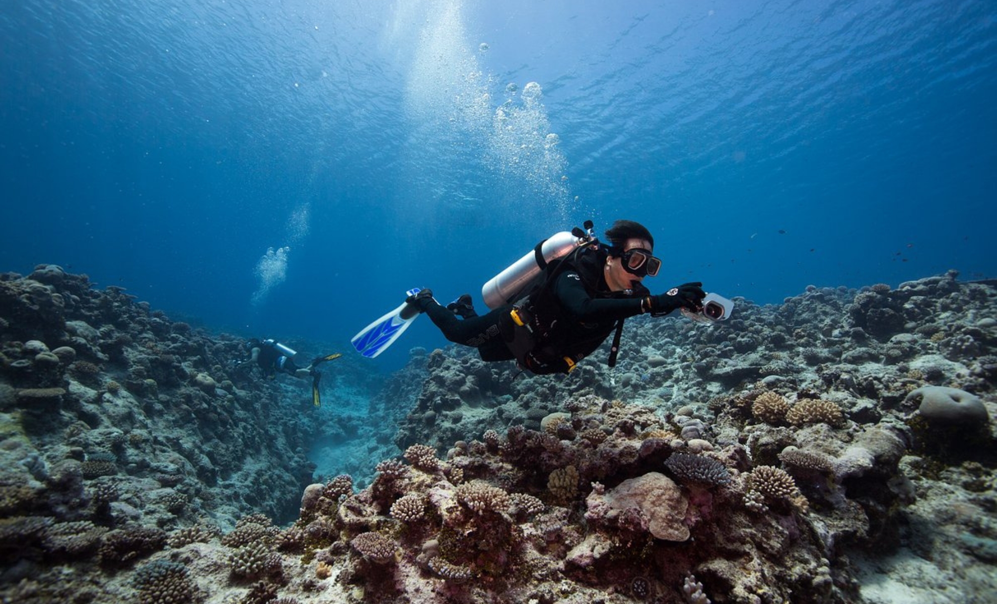 Plongée à la découverte des récifs coralliens de Niué, Polynésie