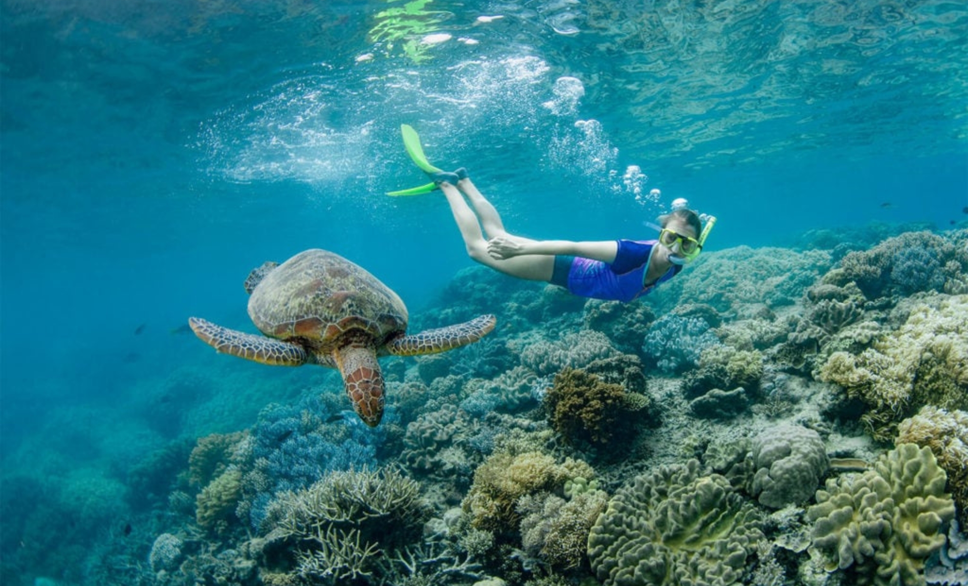 Plongée avec tuba, la Grande Barrière de Corail, Australie
