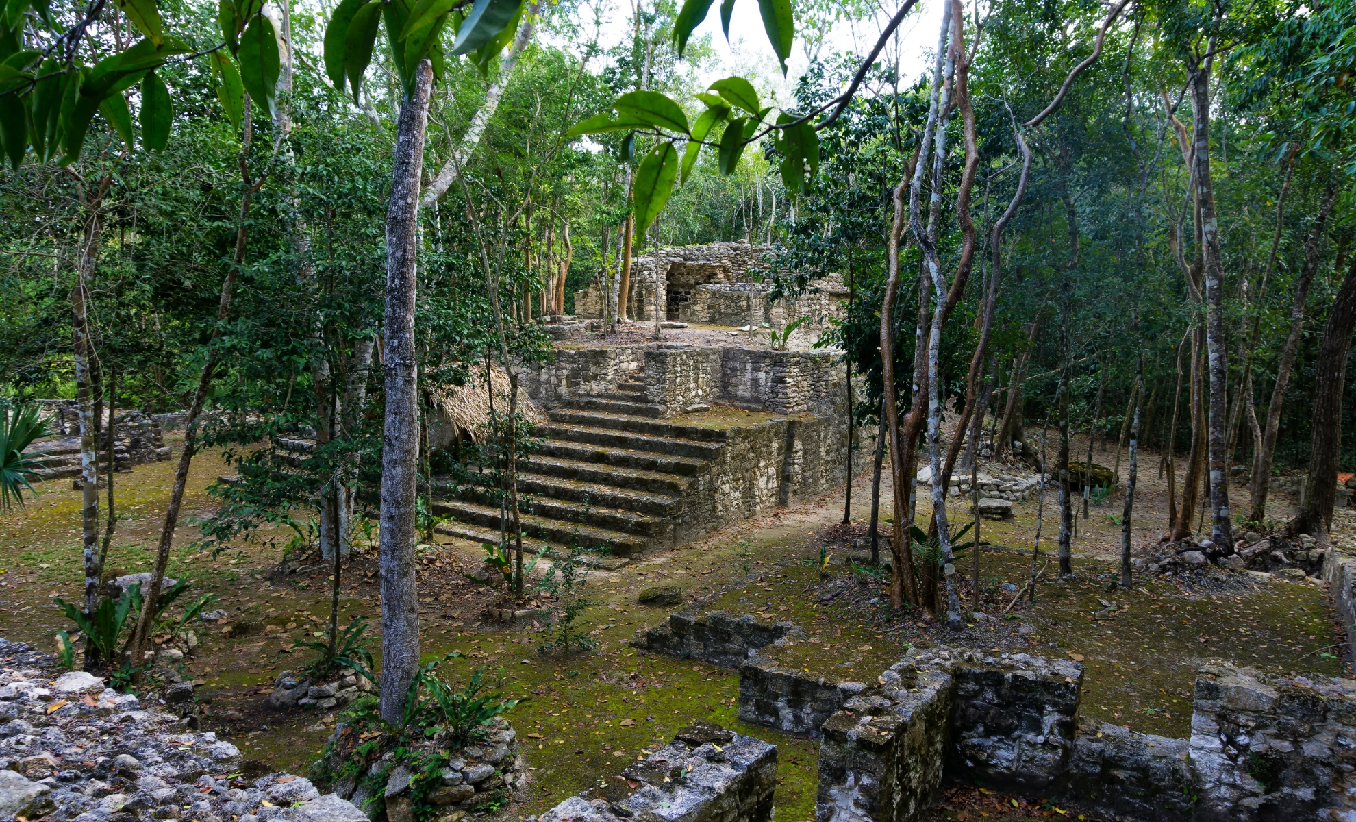Ruines mayas dans la jungle, Mexique