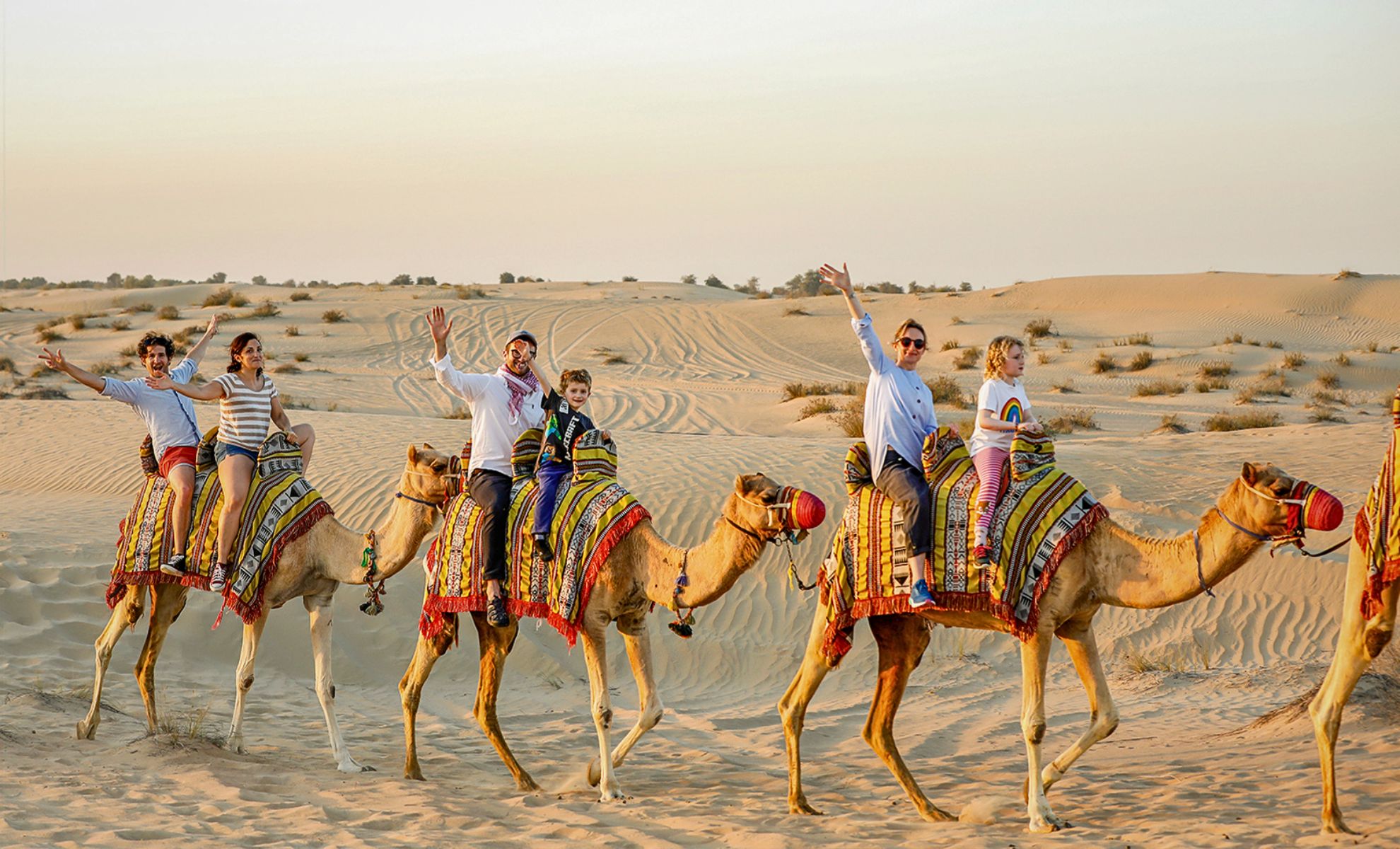 Safari matinal à dos de chameaux au désert de Dubaï
