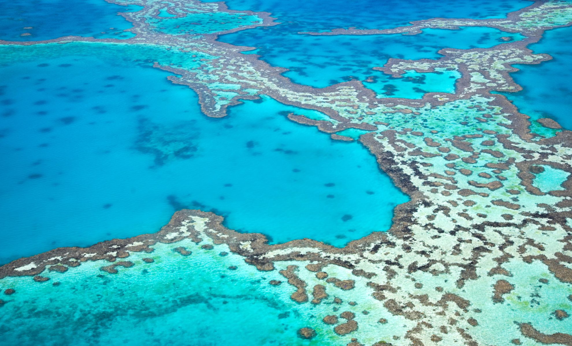 Vue du ciel de la Grande Barrière de Corail, Australie
