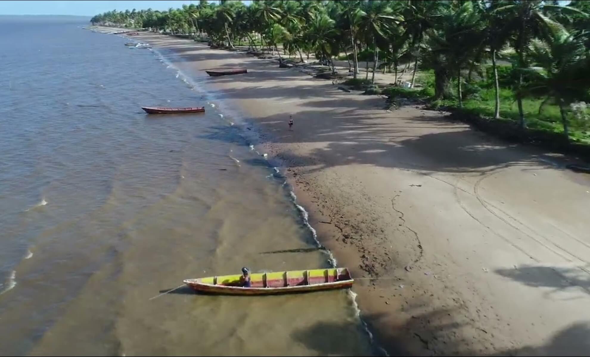 La réserve naturelle de Galibi, le Suriname