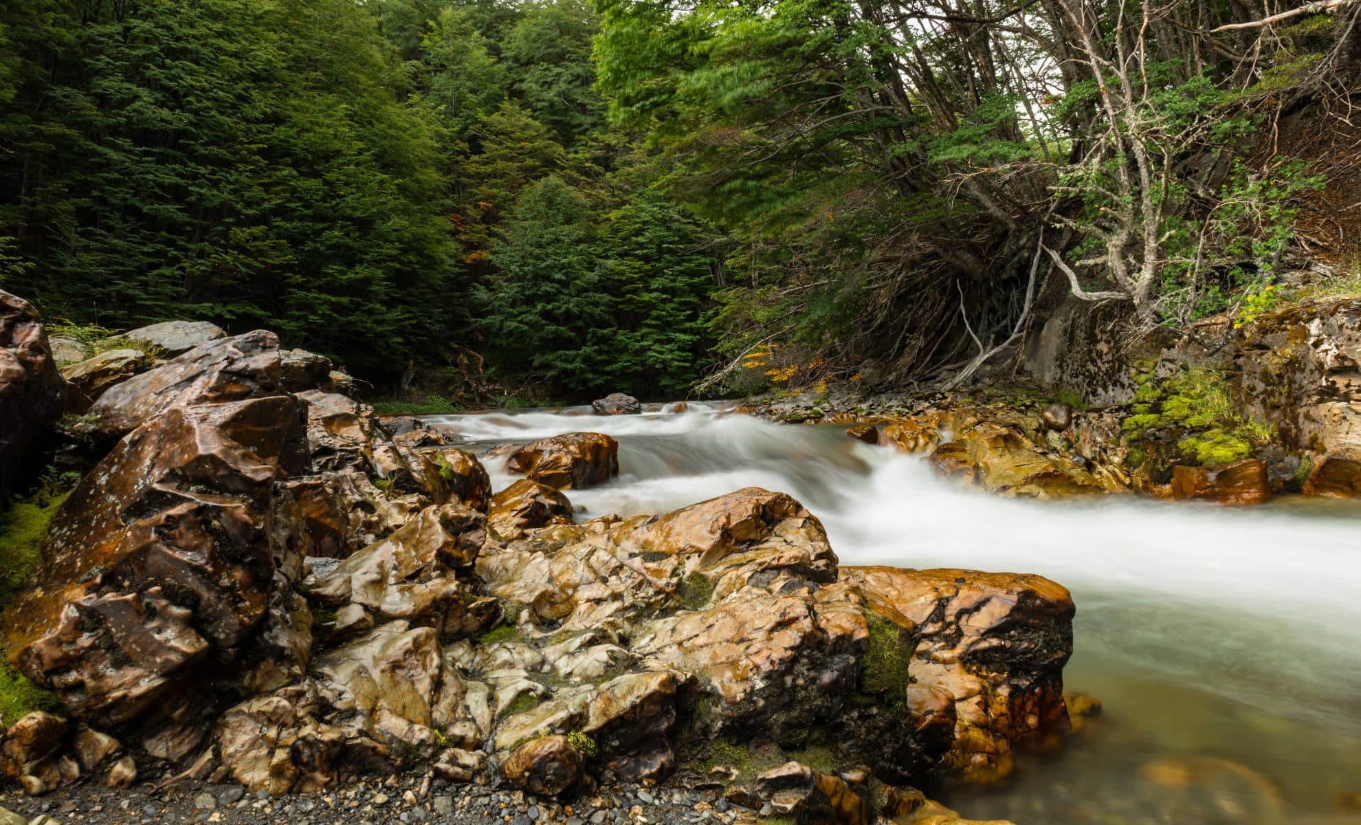 La rivière Lapataia , Ushuaïa