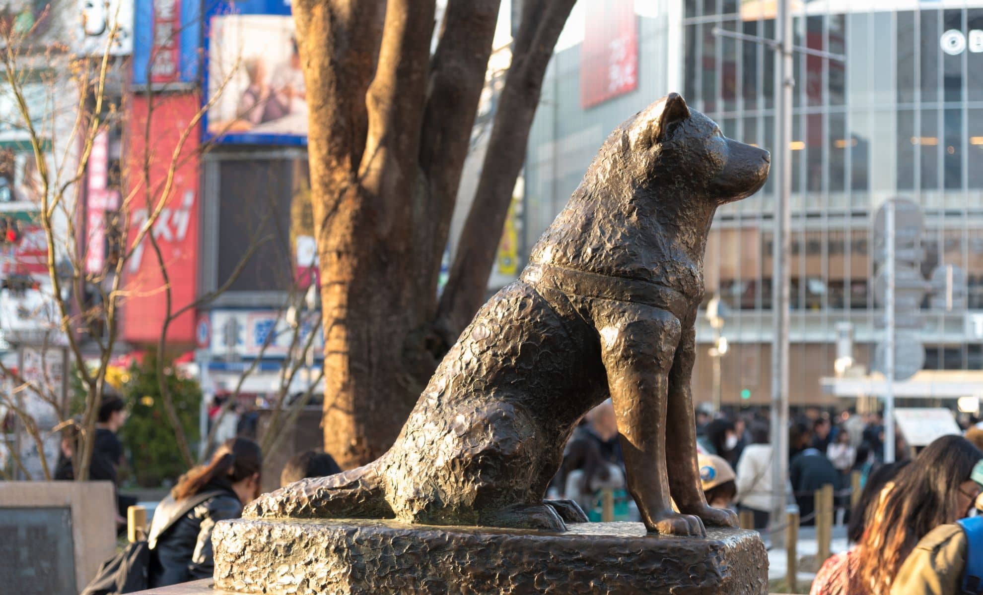 La statue Hachikō, Shibuya , Japon