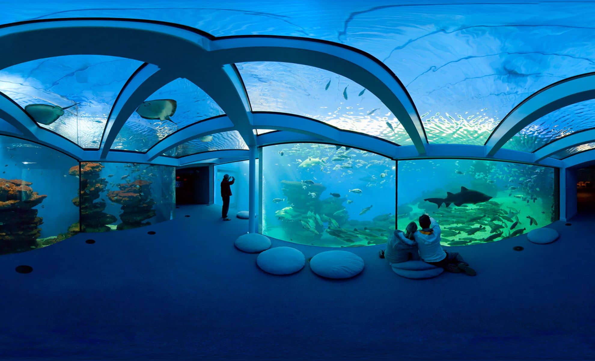 L'aquarium de Palma , Majorque , Espagne