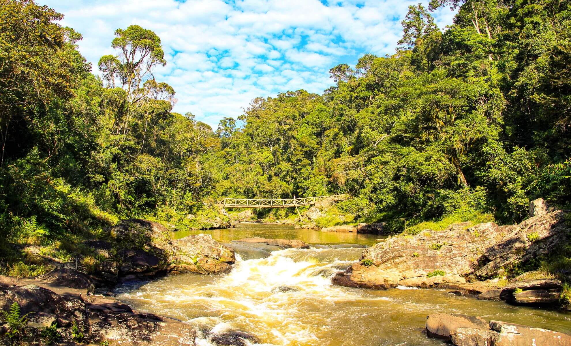 Le Parc National de Ranomafana , Madagascar