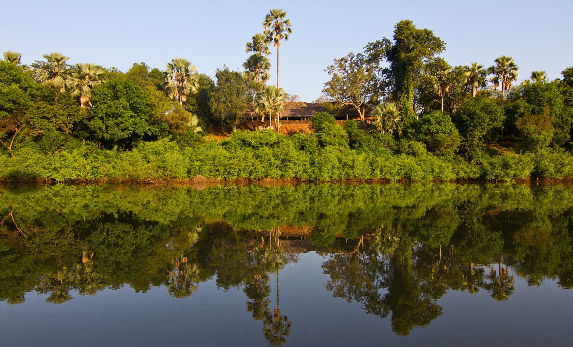 Le Parc national de Niokolo-Koba, Sénégal