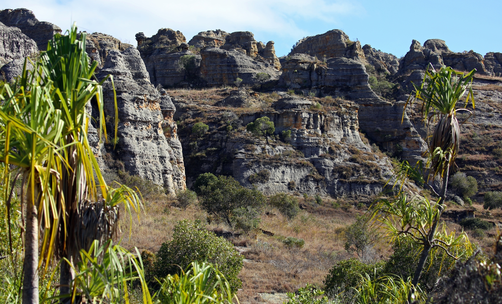 Le Parc national de l'Isalo à Madagascar