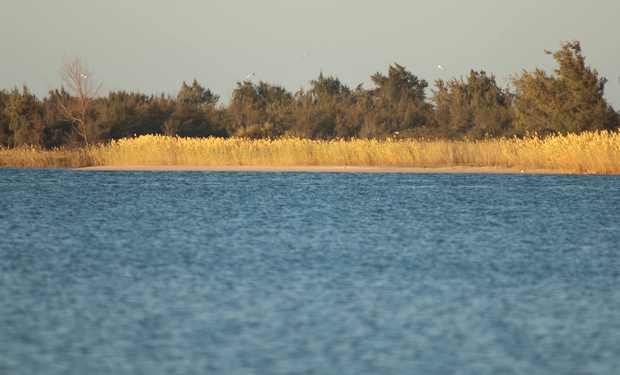 Le Parc national de la Langue de Barbarie au Sénégal