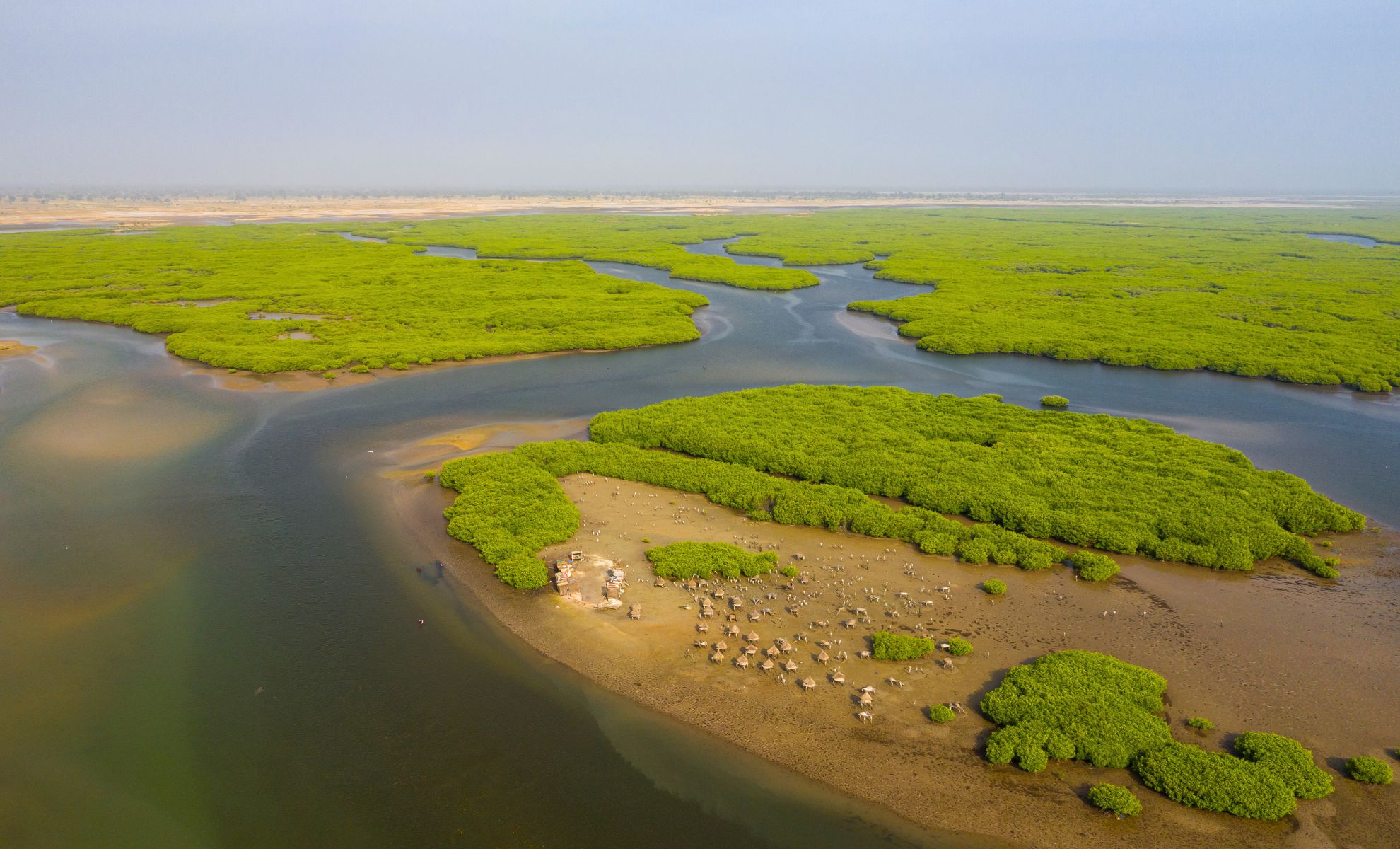 Le delta du Saloum, Sénégal