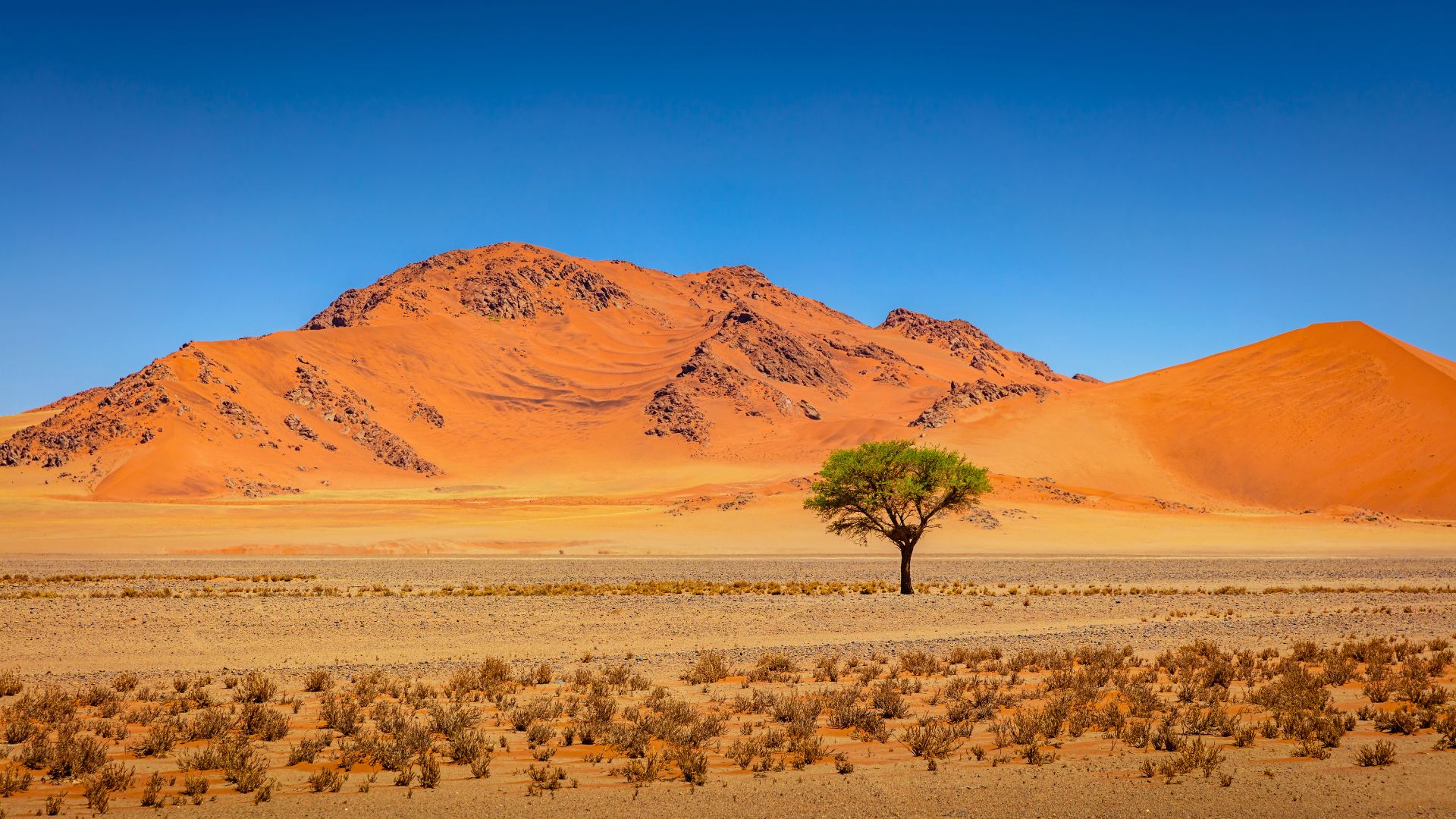 Le parc national Namib Naukluft , Namibie
