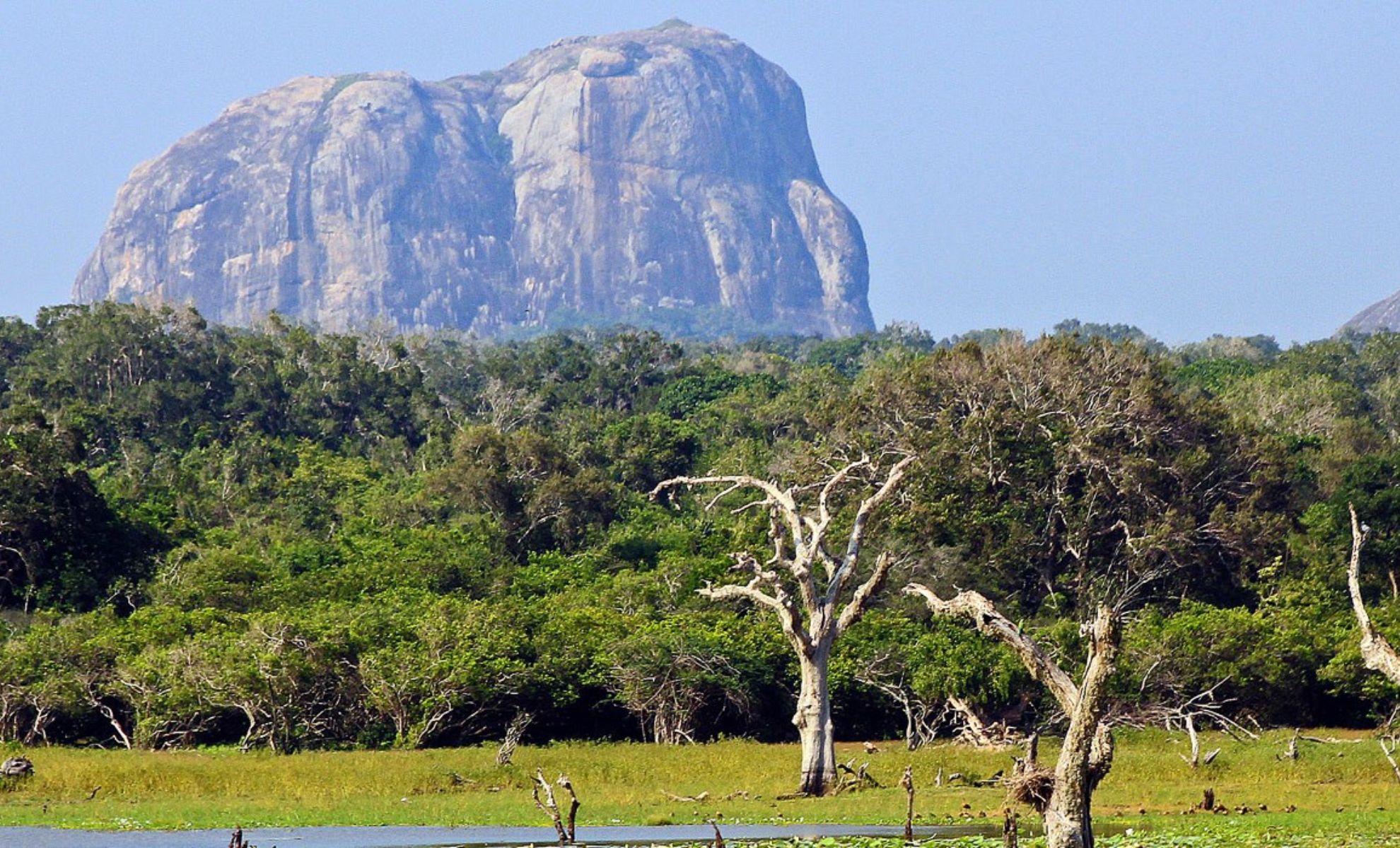 Le parc national de Yala, Sri Lanka