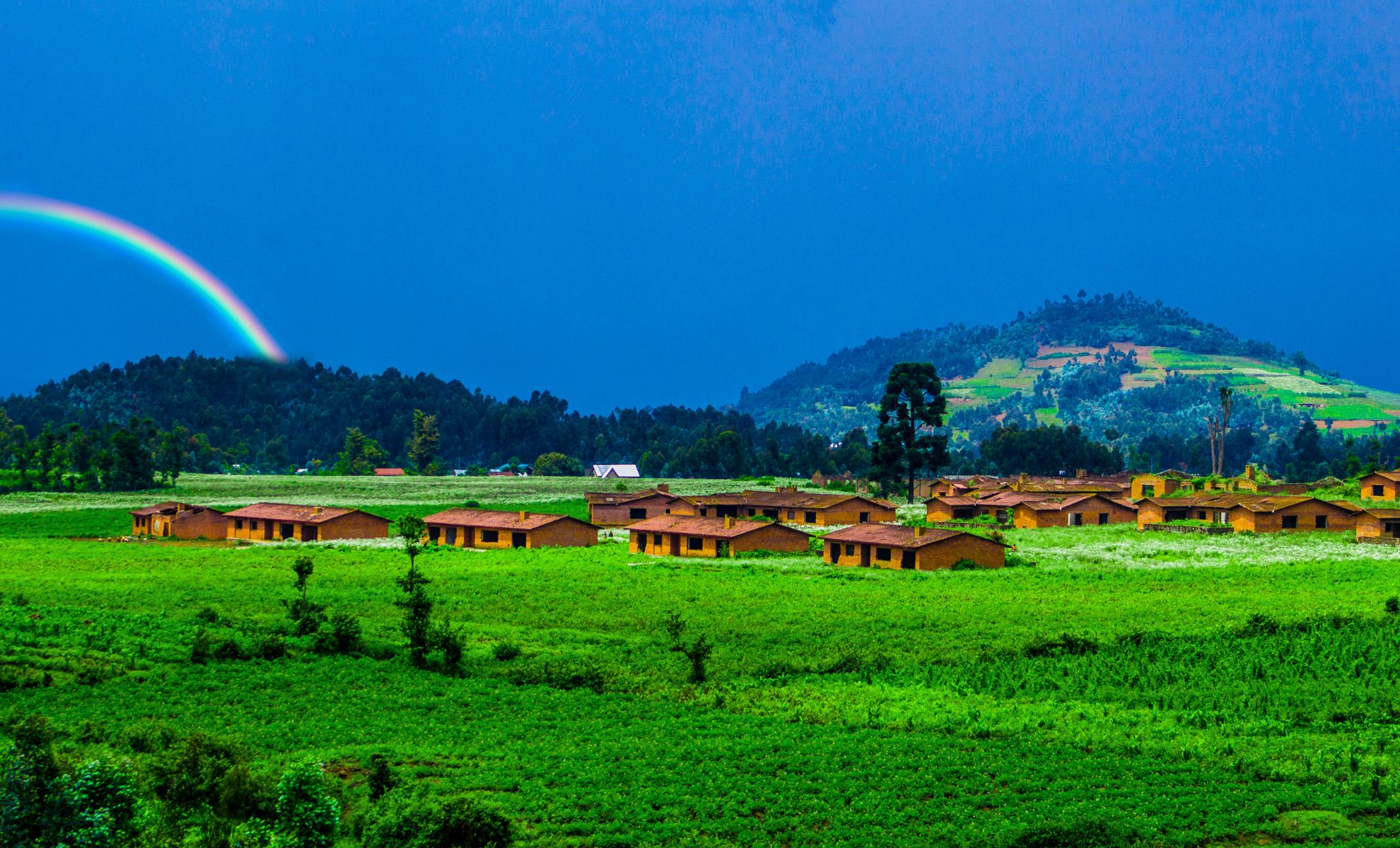 Les collines du Rwanda