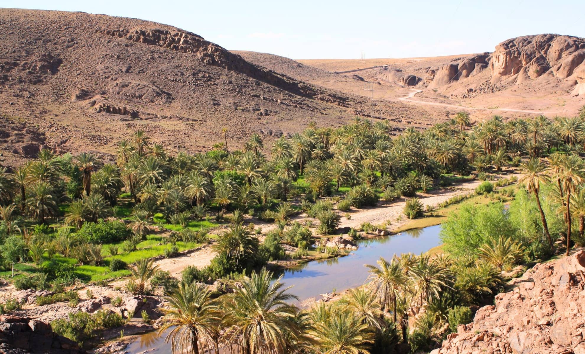 L’oasis de Fint au Maroc