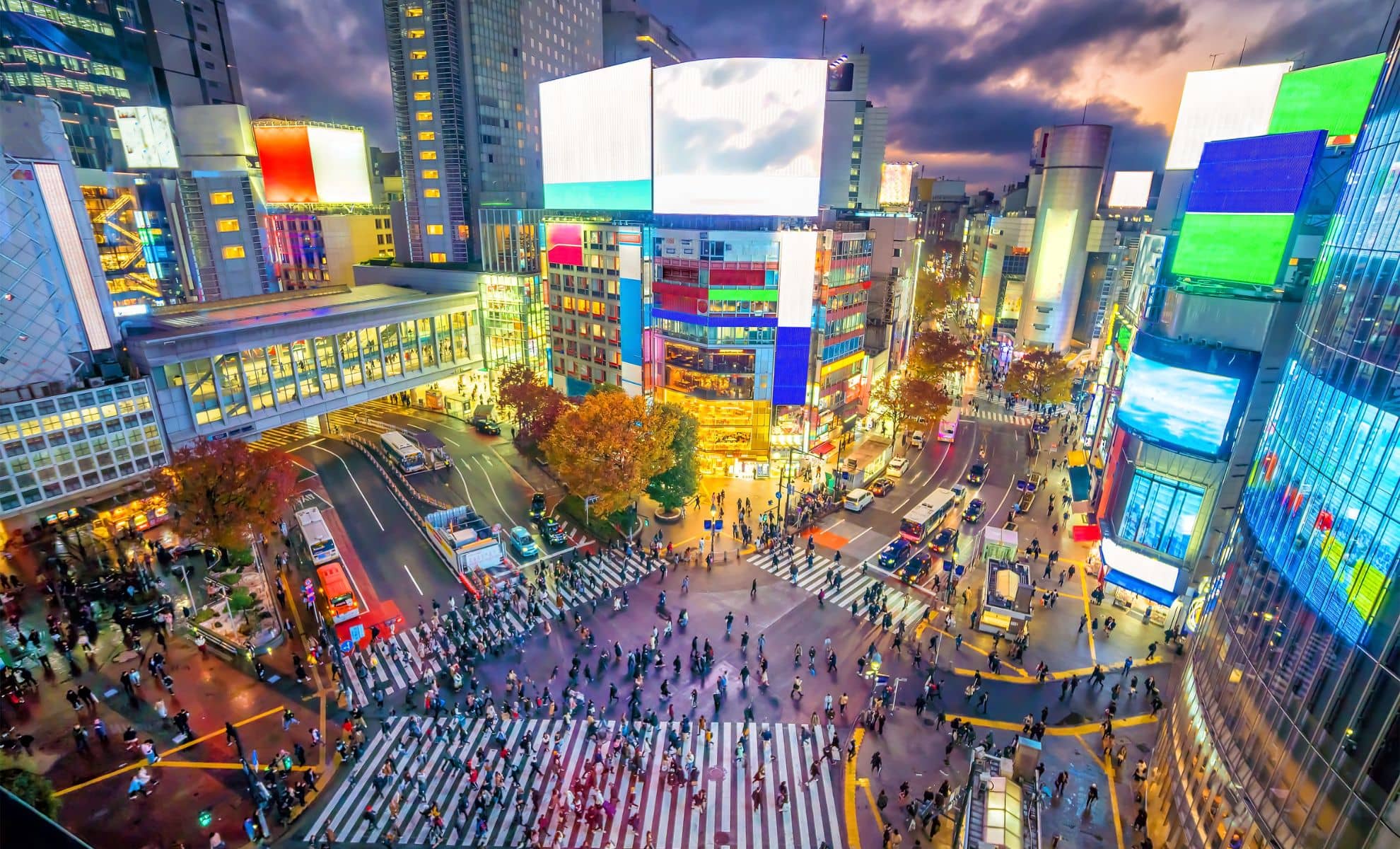 Shibuya , Tokyo, Japon