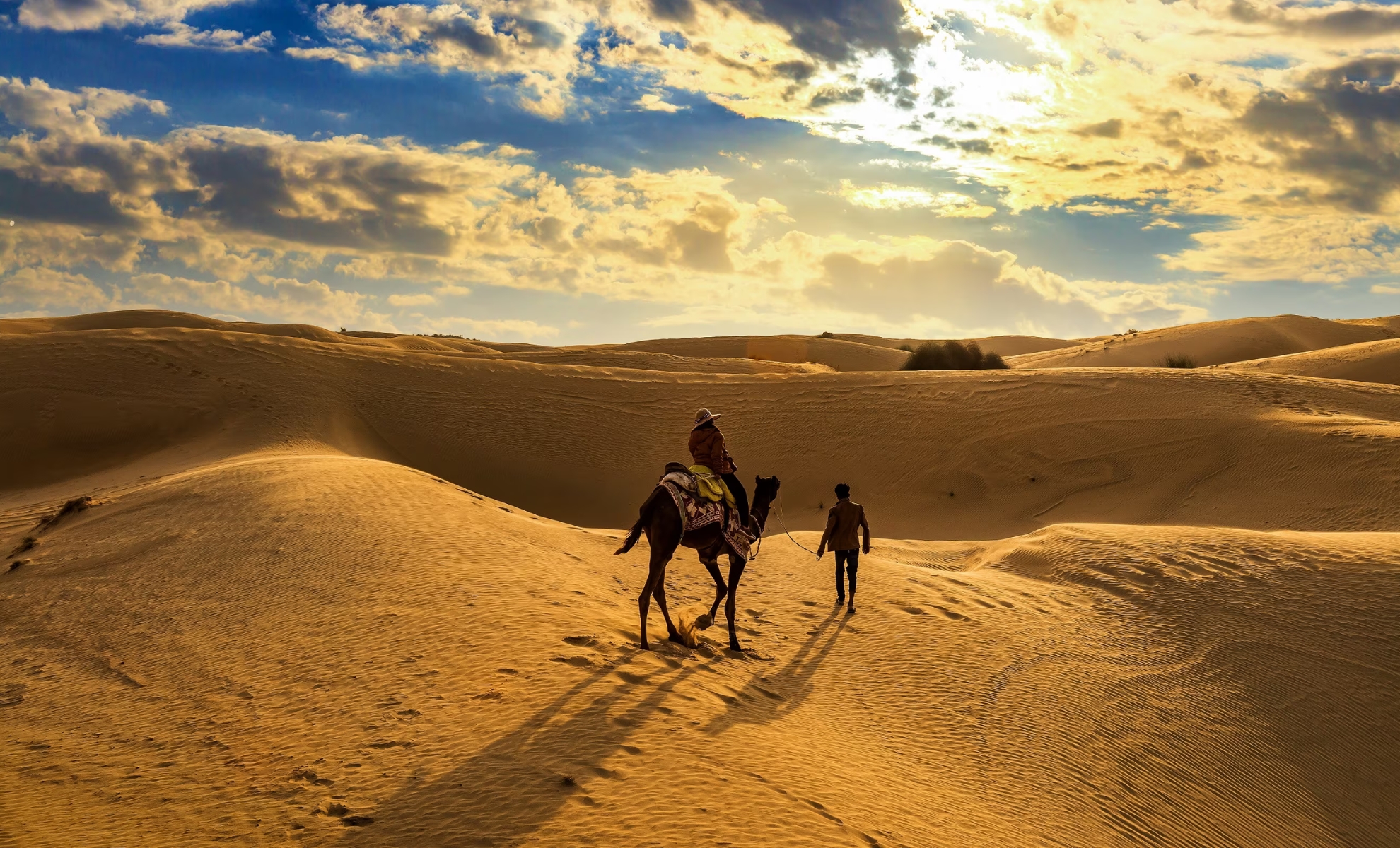 Un safari à dos de chameau dans le désert du Thar, Inde