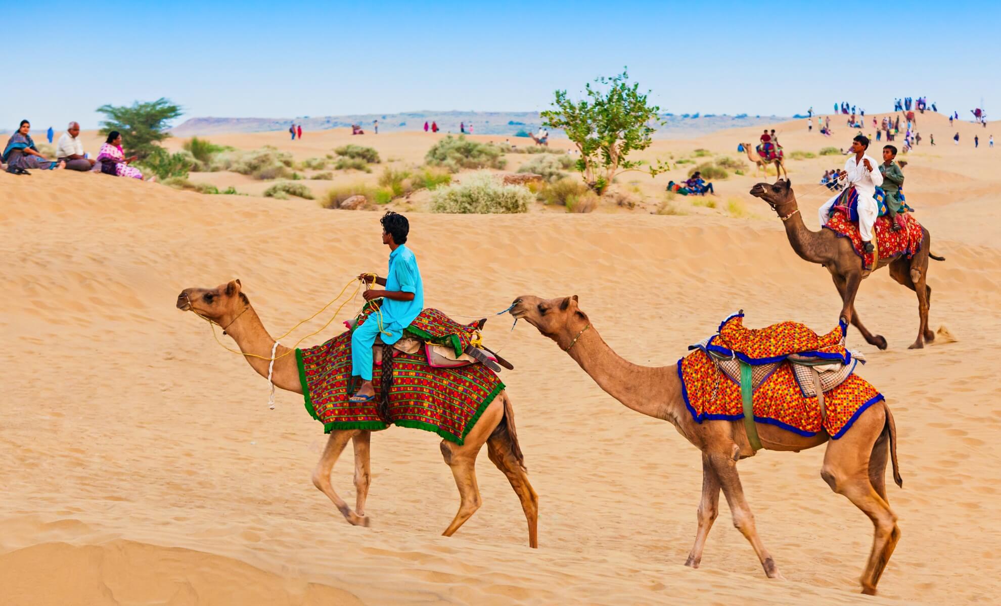 Un safari à dos de chameau dans le désert du Thar