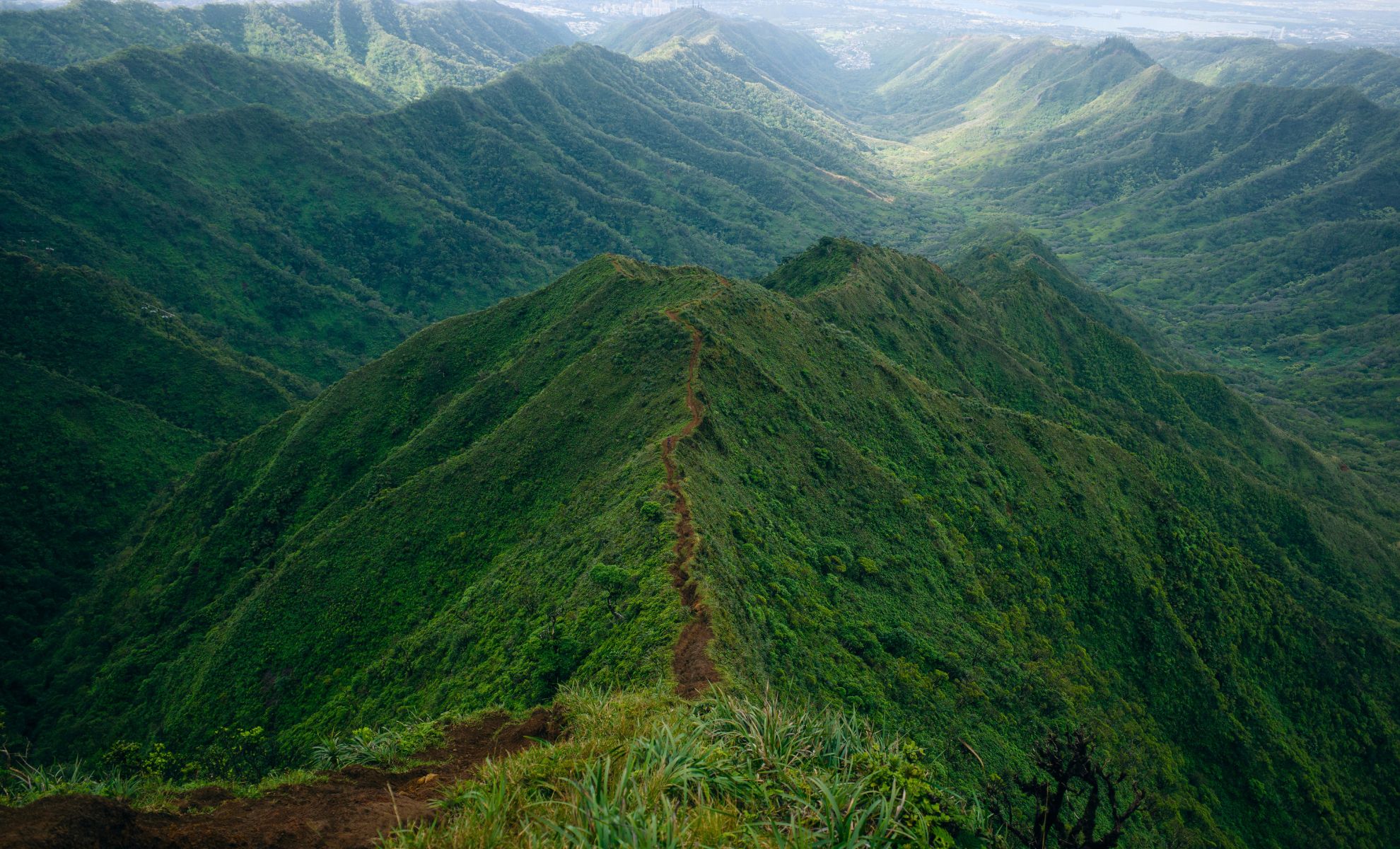 La Moanalua Vallery road trail à Oahu, Hawaï