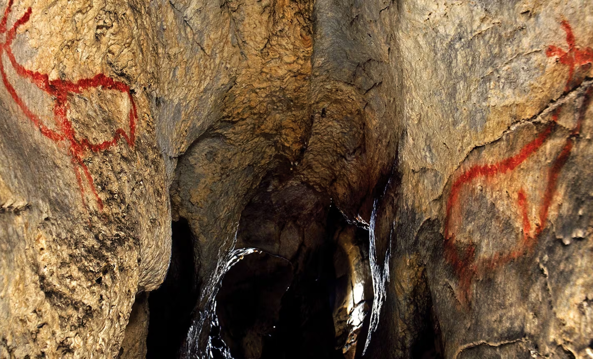 La grotte d'Altamira, Santillana del Mar, Espagne