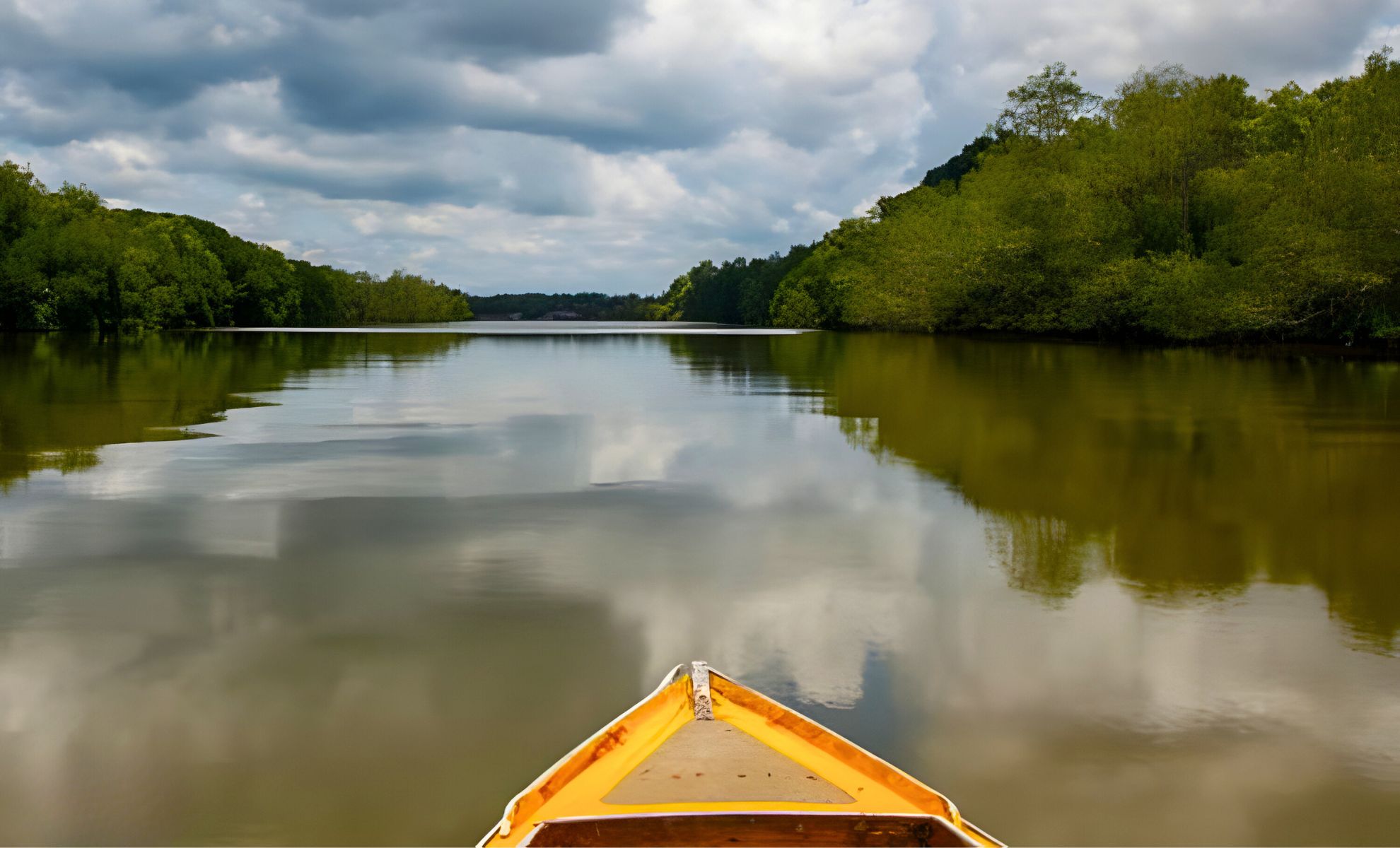 La rivière des singes Proboscis , Brunei