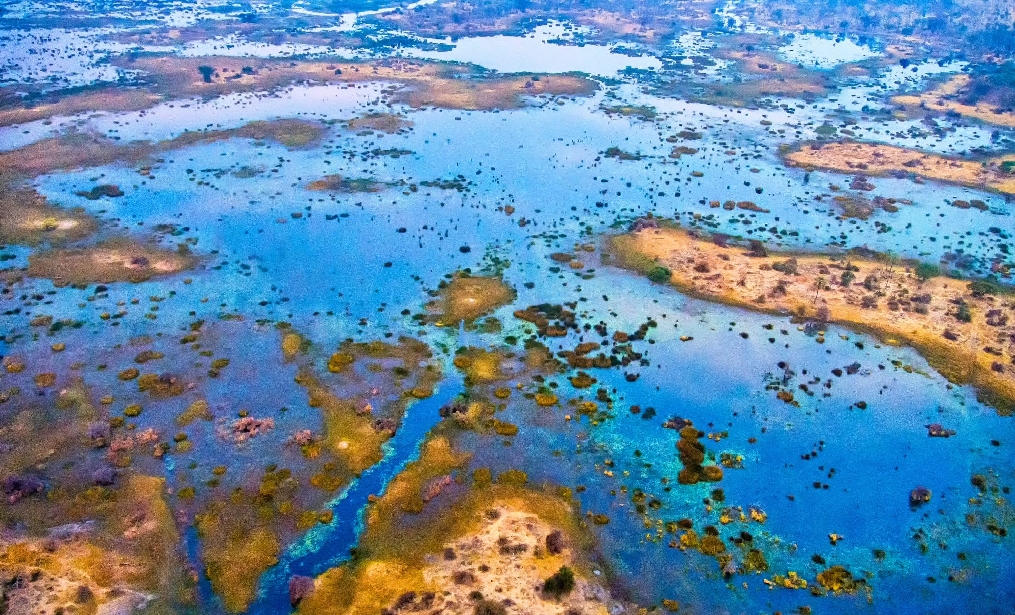 Le delta de l'Okavango , Botswana