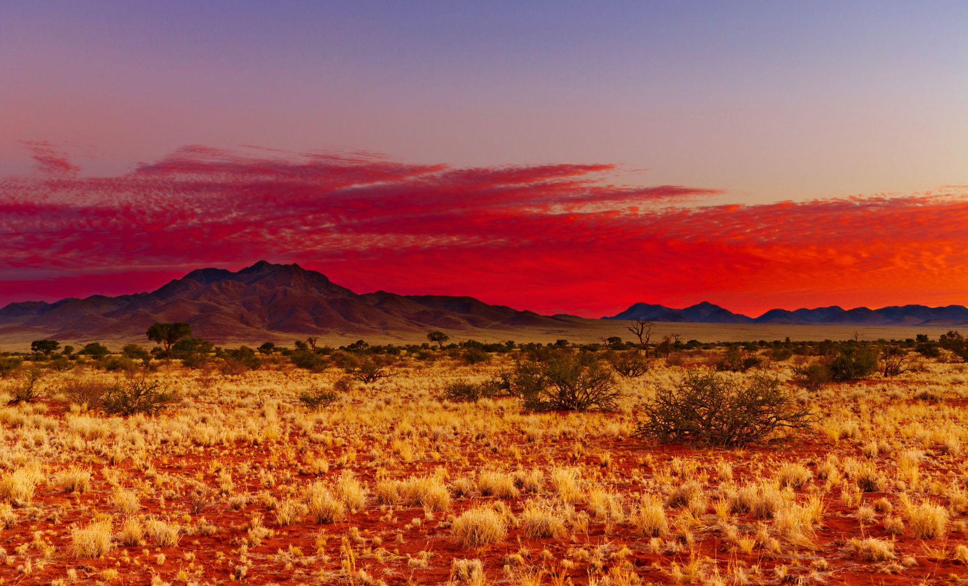 Le désert du Kalahari , Botswana