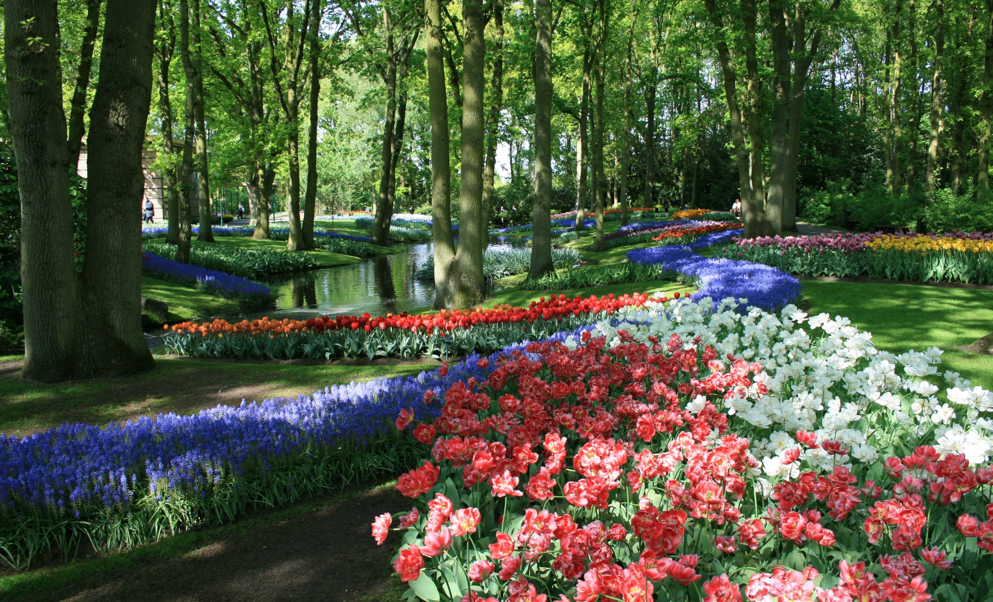 Le jardin de Keukenhof, Amsterdam