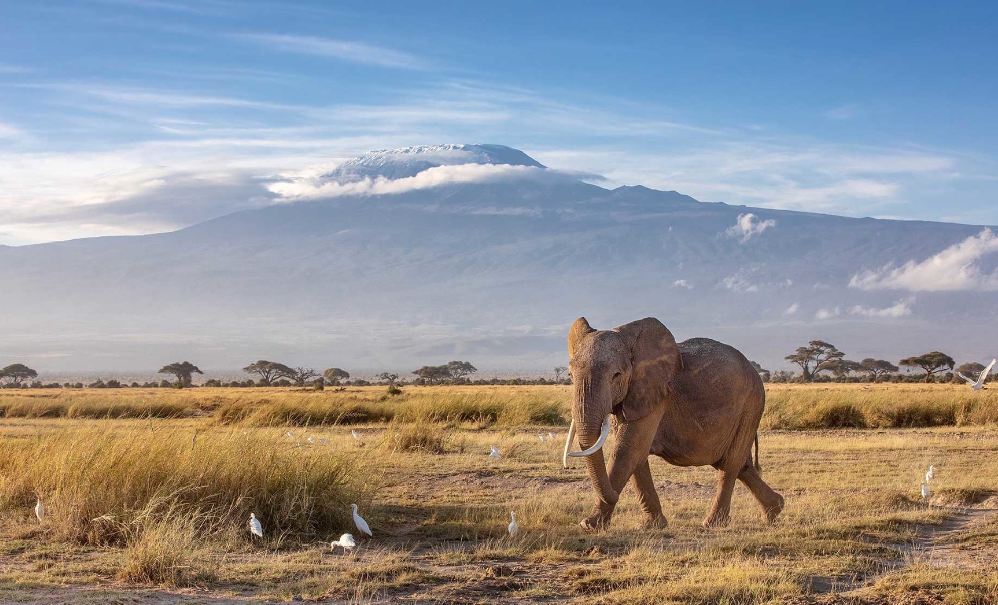 Le parc national d’Amboseli, Kenya