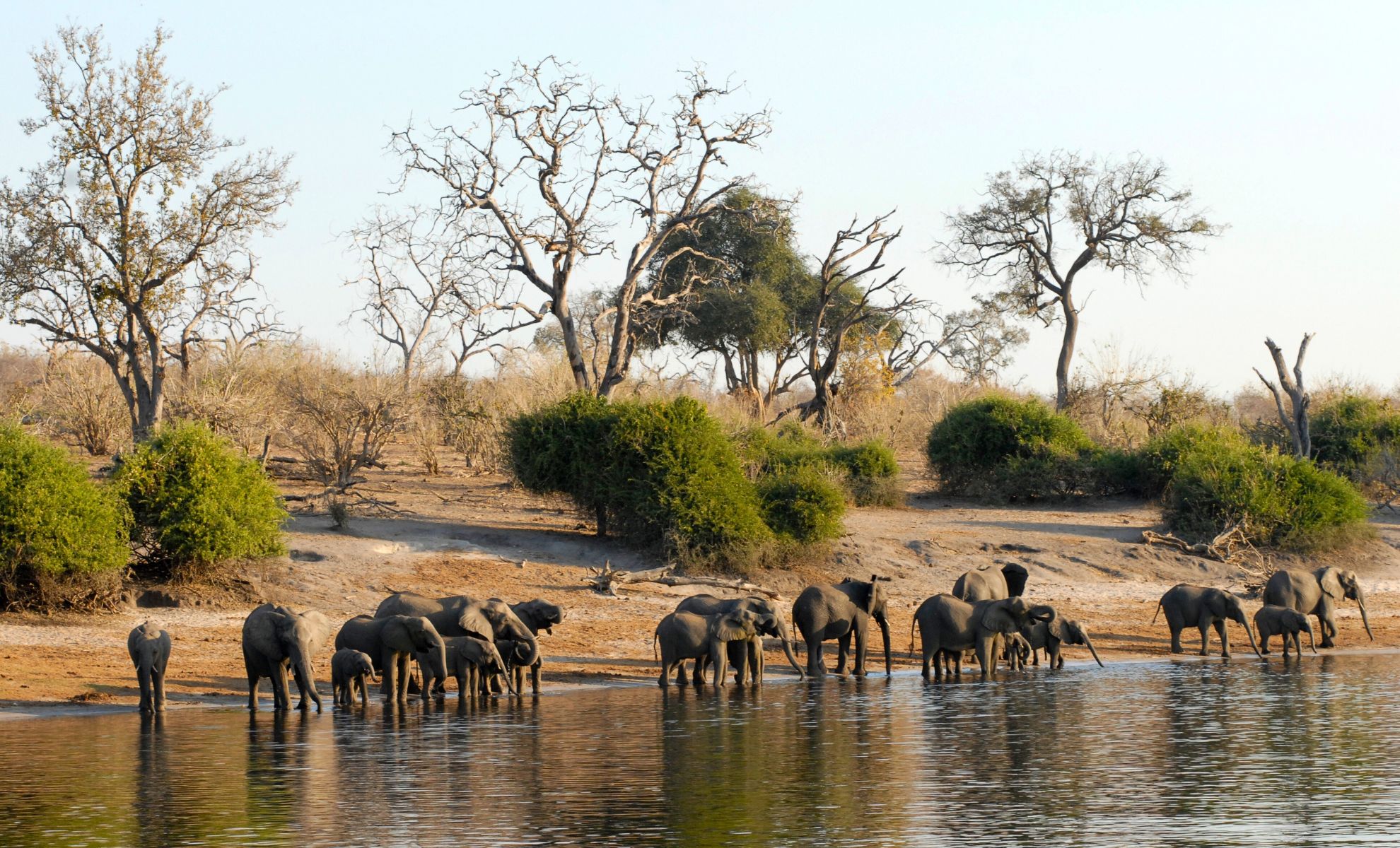 Le parc national de Chobe , Botswana