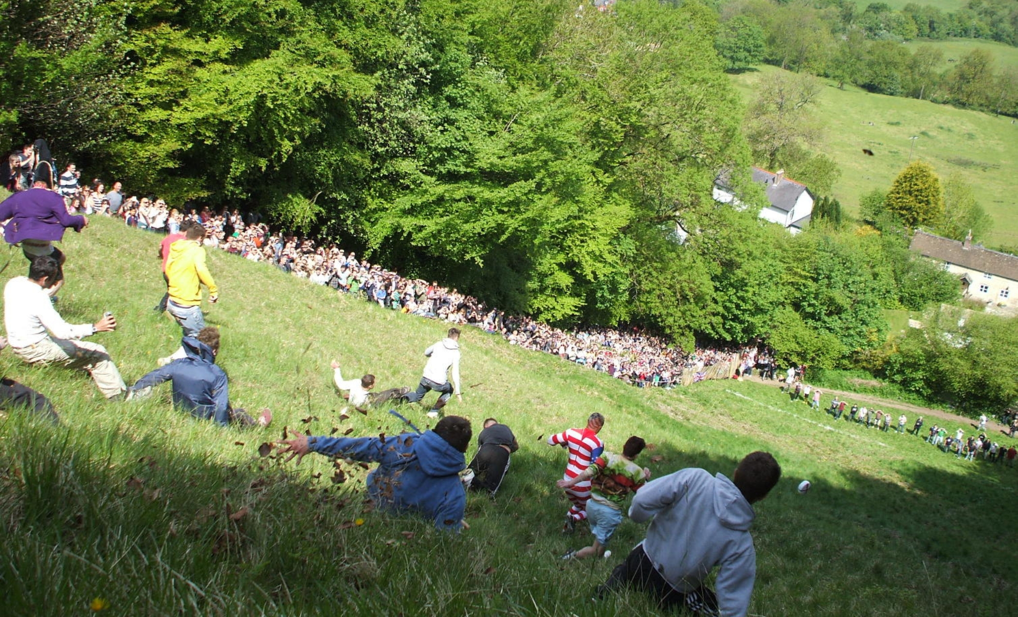 Le roulé de fromage, la colline de Gloucester, Royaume-Uni