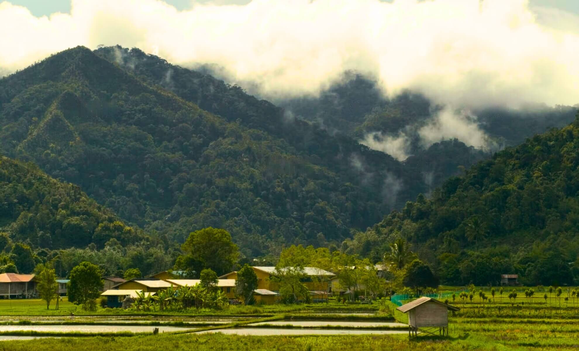 Les Kelabit Highlands, Bario, Malaisie