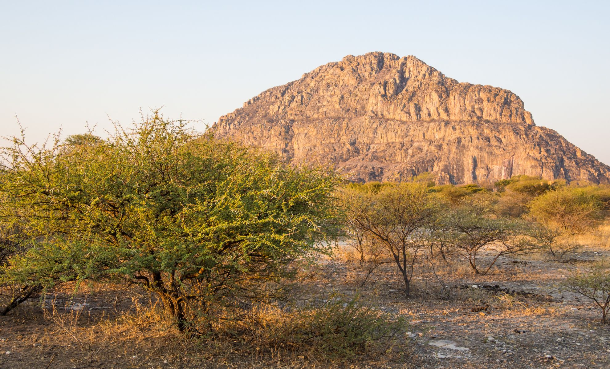 Les collines de Tsodilo , Botswana