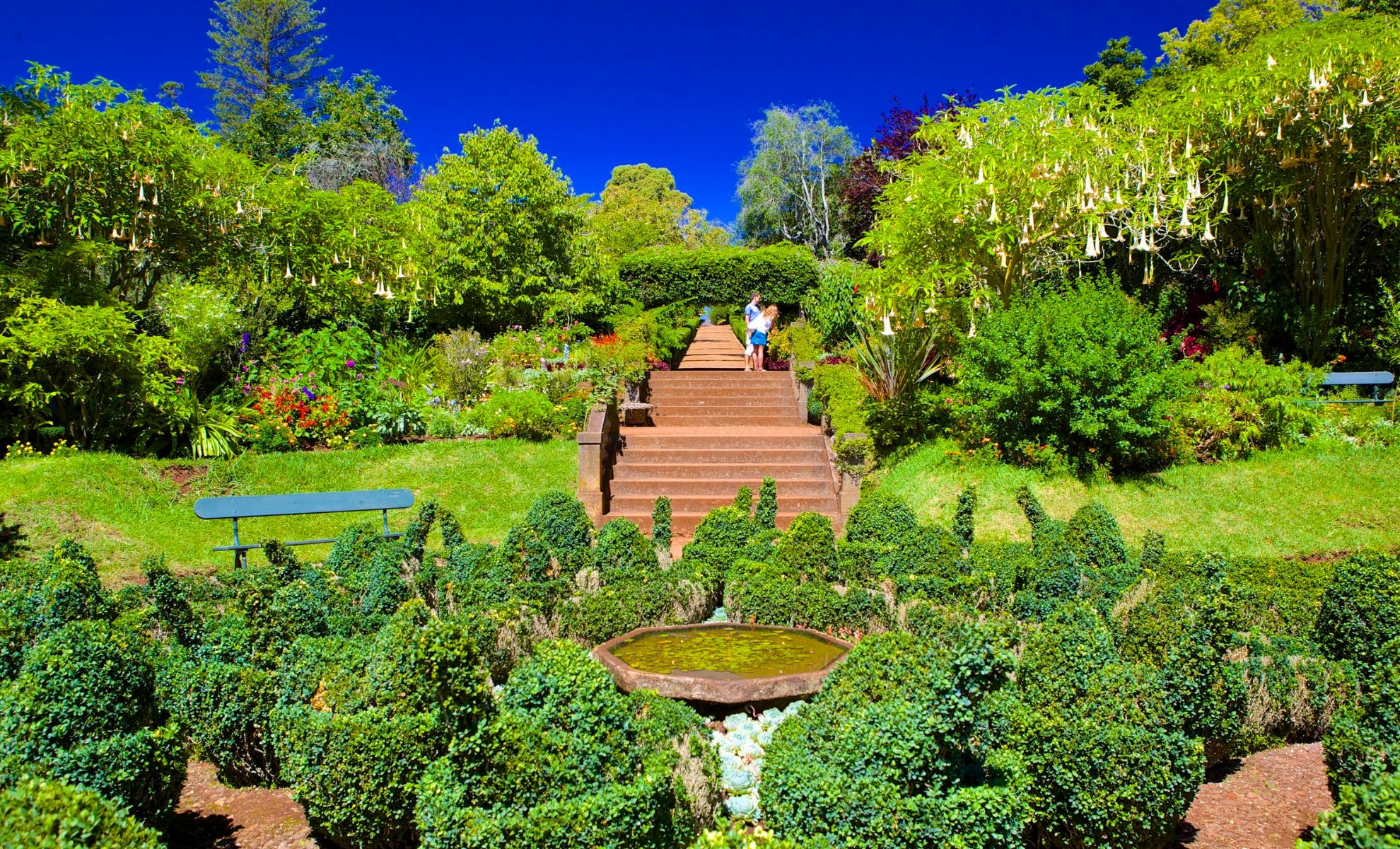 Les jardins de Palheiro, Madère, Portugal