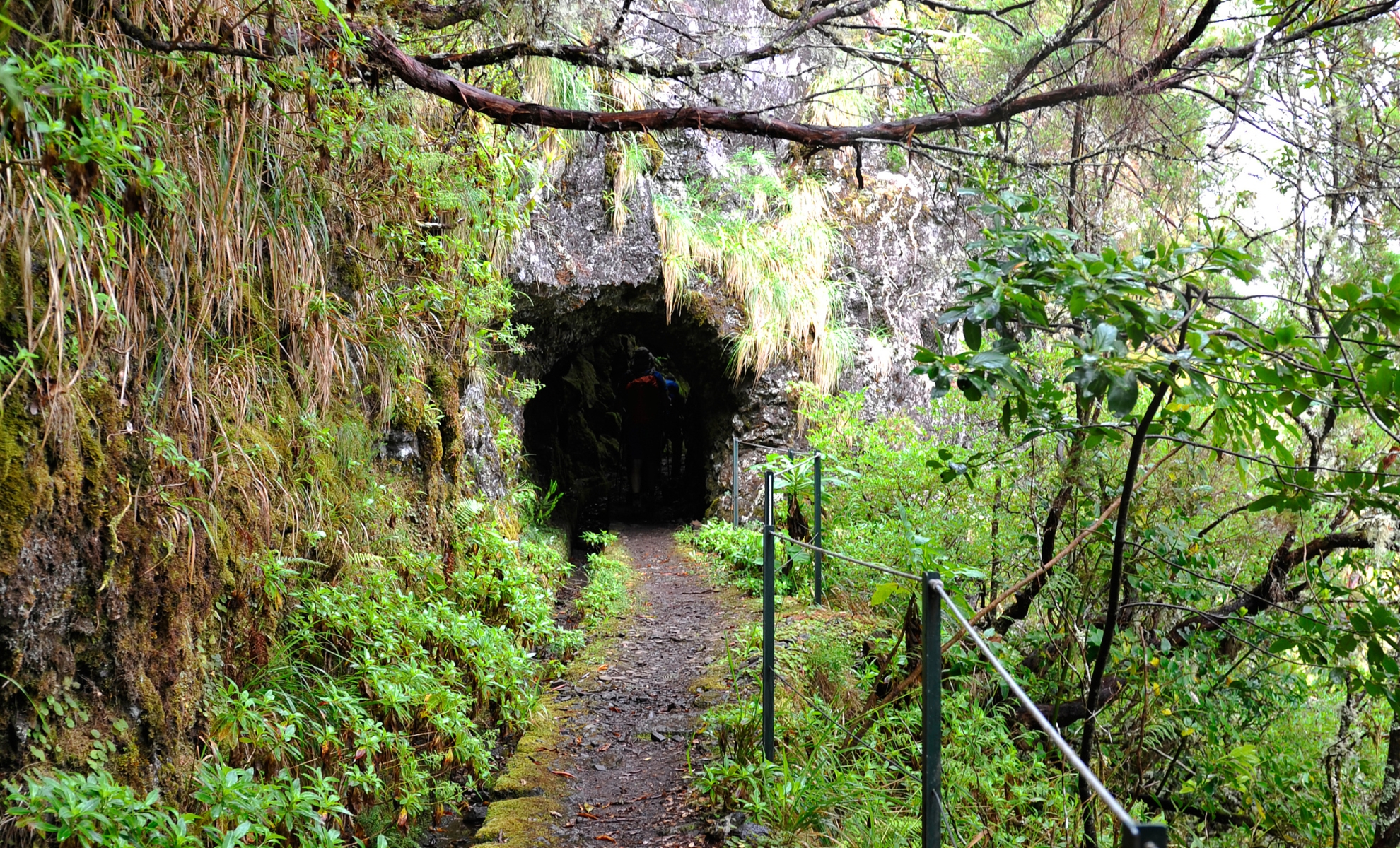 Parcours royal 17, Caminho do Pinaculo e Folhadal, Madère, Portugal