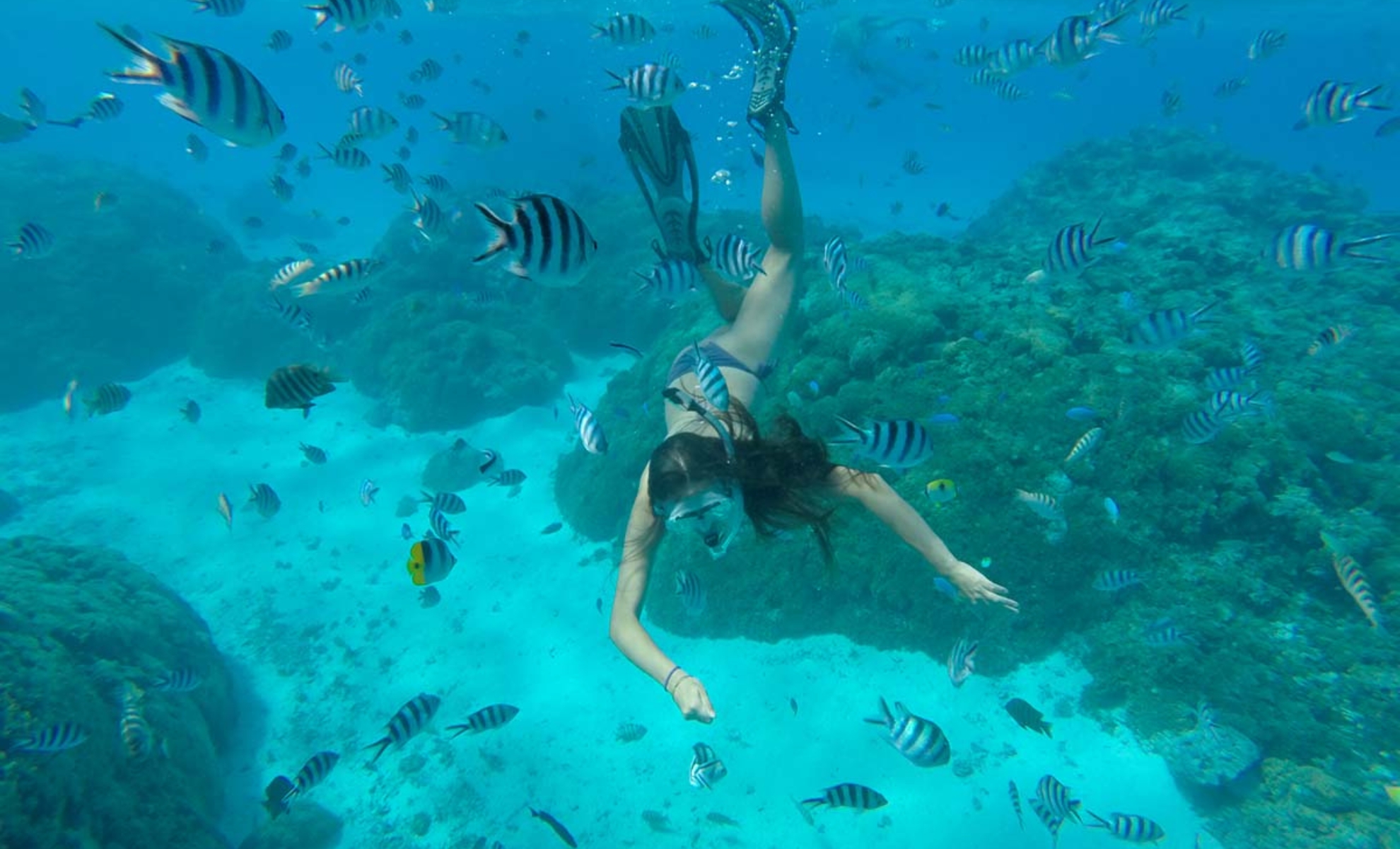 Snorkling à l'Aquarium de Rangiroa, îles Tuamotu, Polynésie française