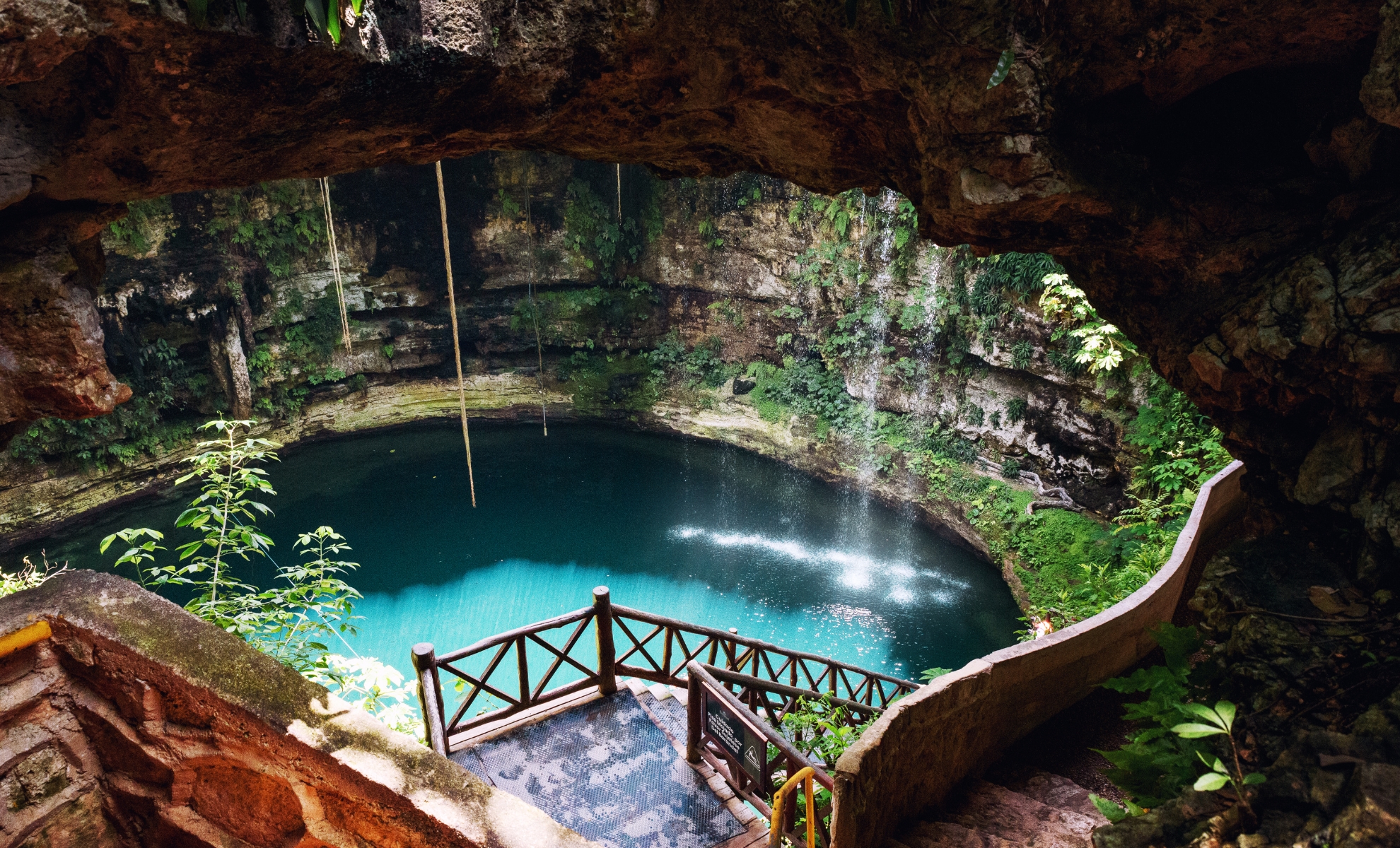 Un cénote dans le Yucatan au Mexique