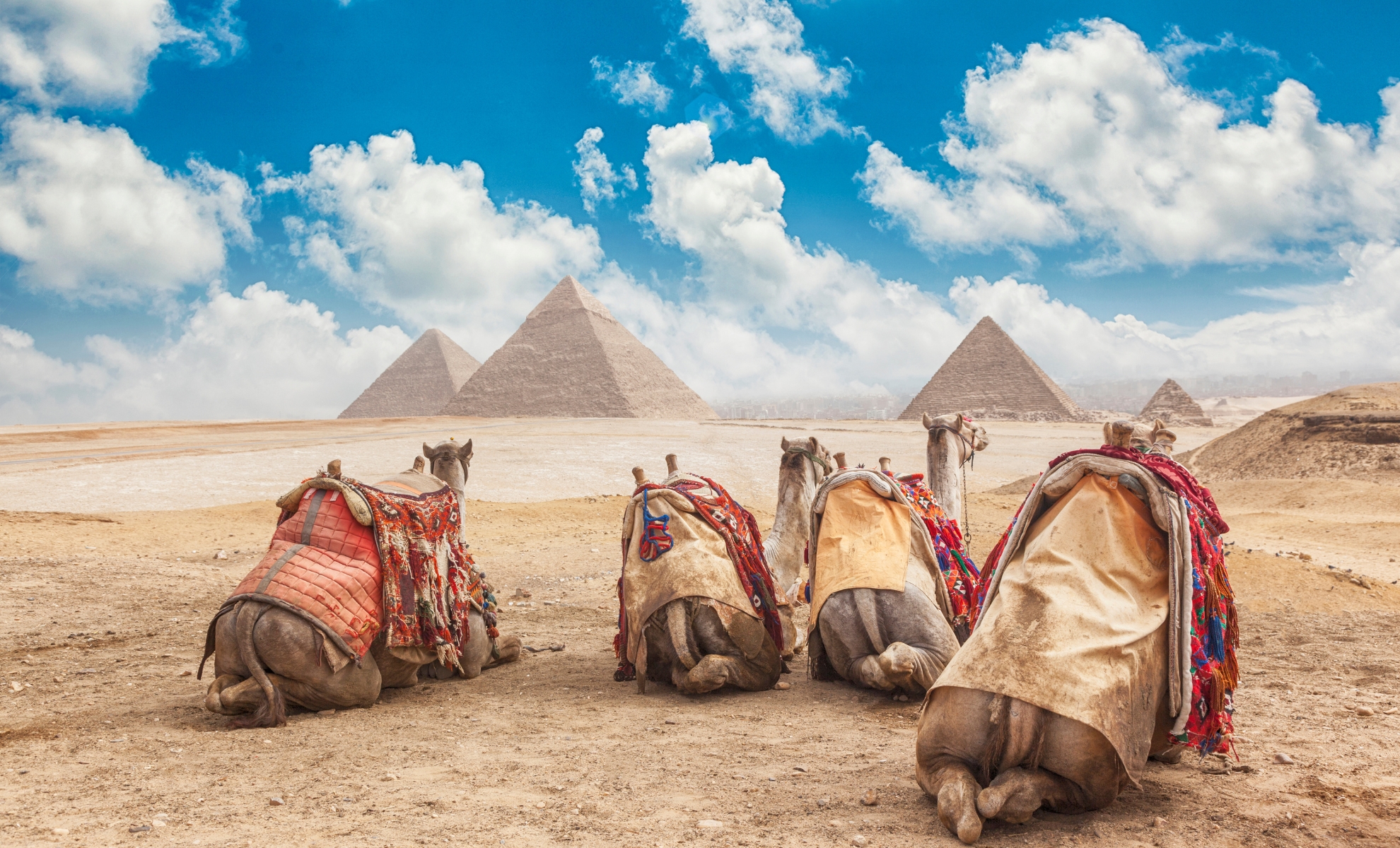 Vue sur les pyramides de Giza en Égypte