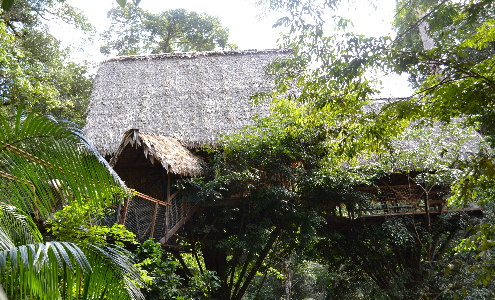 Le camp Canopée, Guyane